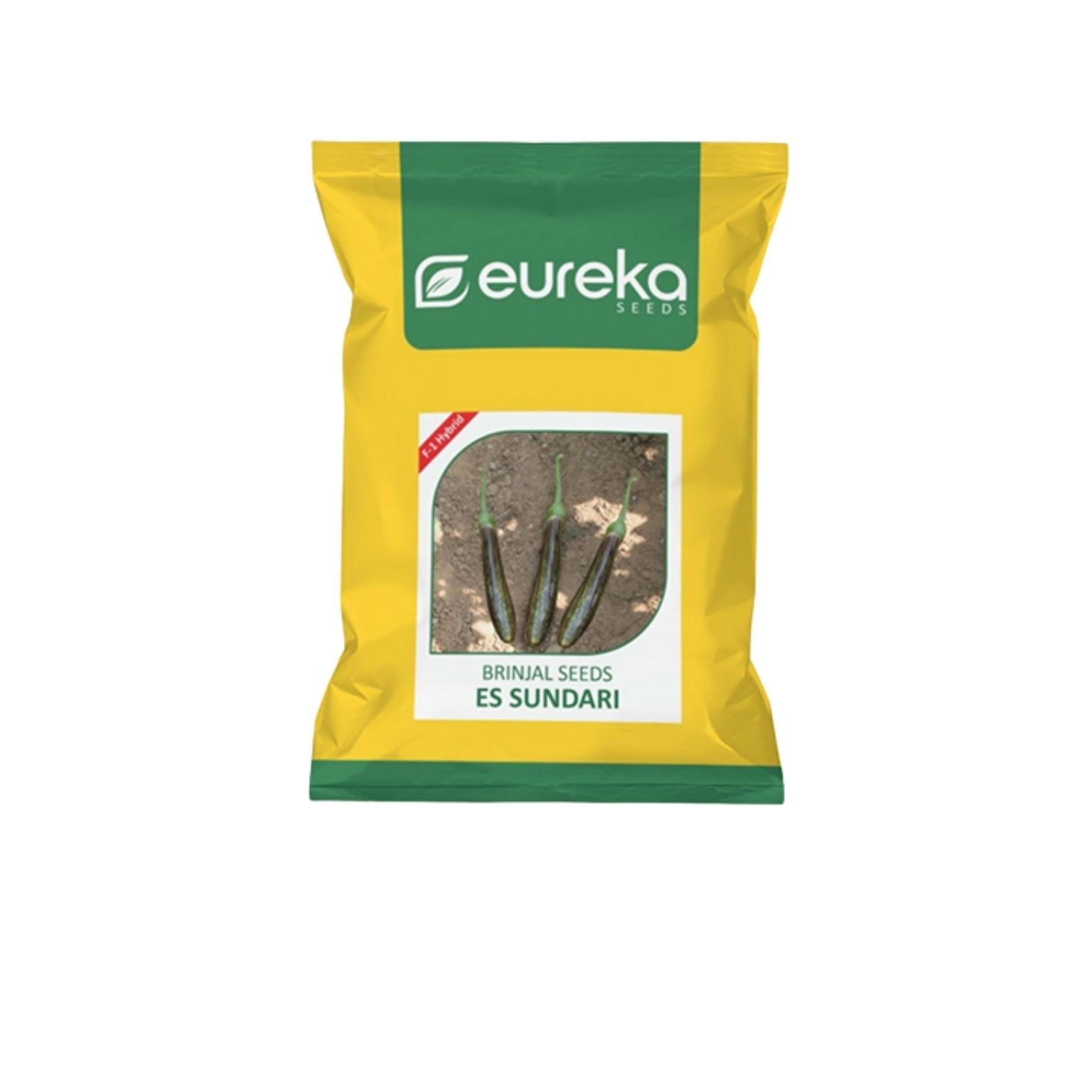 Eureka Brinjal ES Sundari F1 Hybrid Vegetable Seeds 10GM