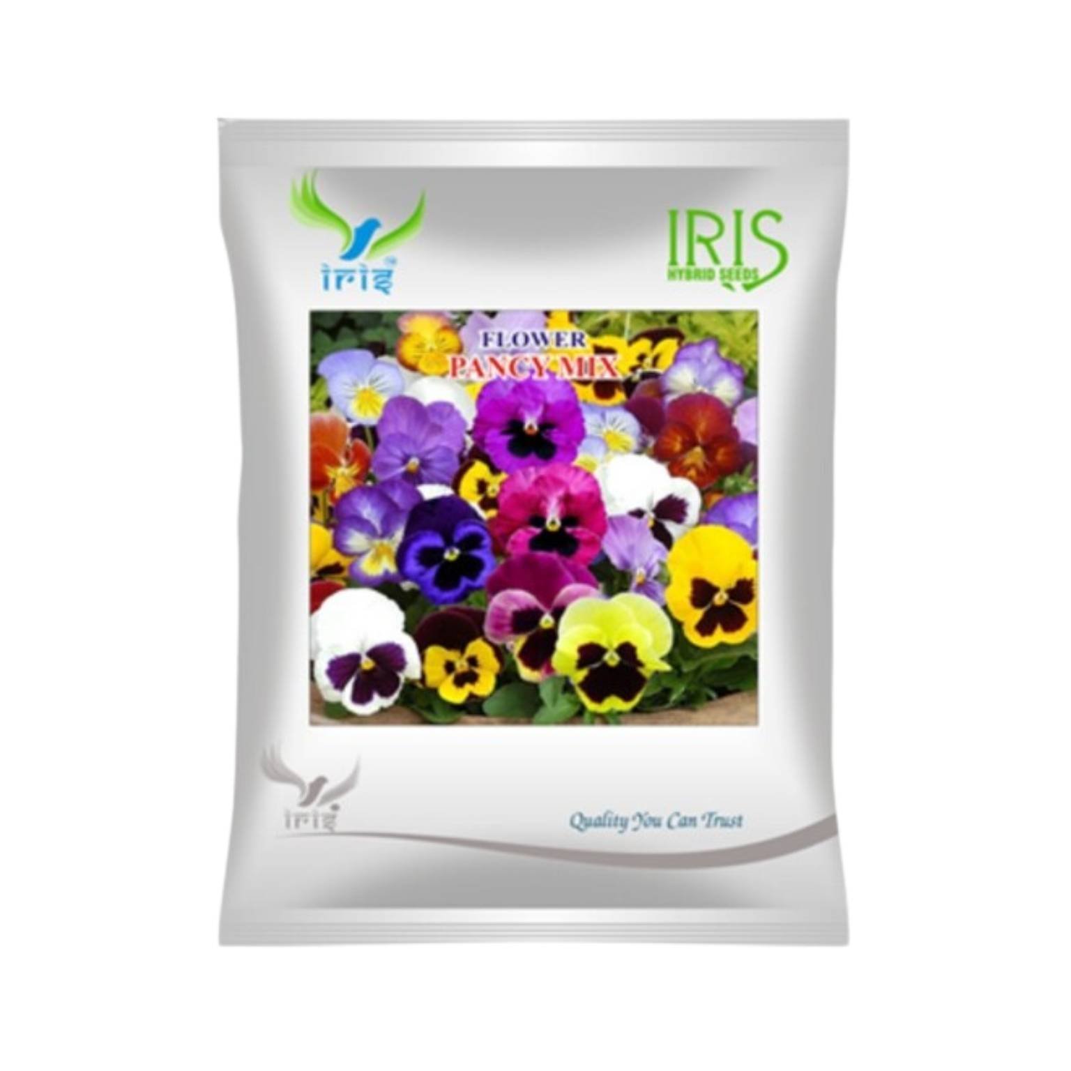 Iris Hybrid Pancy Mix Flower Seeds (300 Seeds)