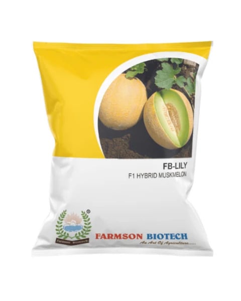 MUSKMELON  FB-LILY F1.HY.