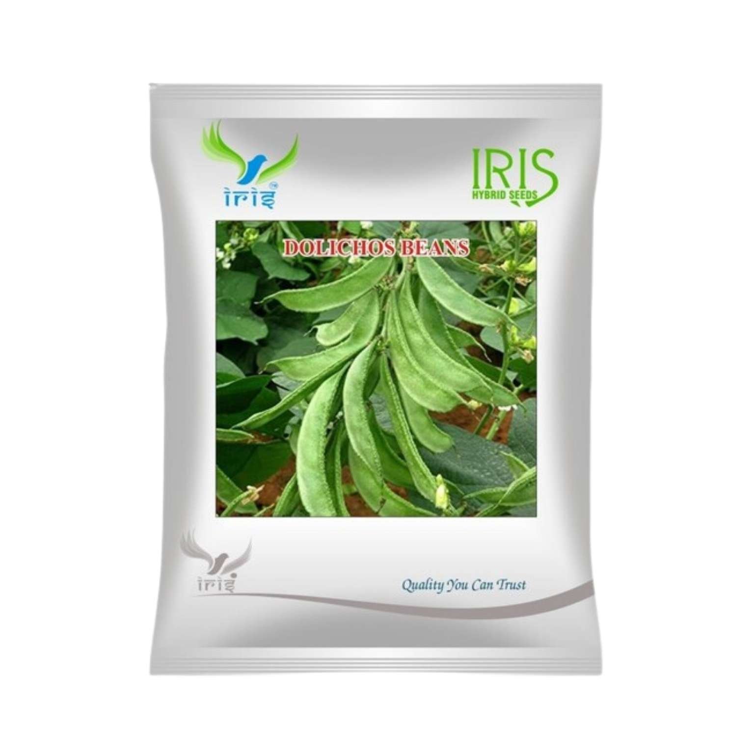 Iris Hybrid Dolichos Beans (Sem Phalli) NA 50g Vegetable Seeds
