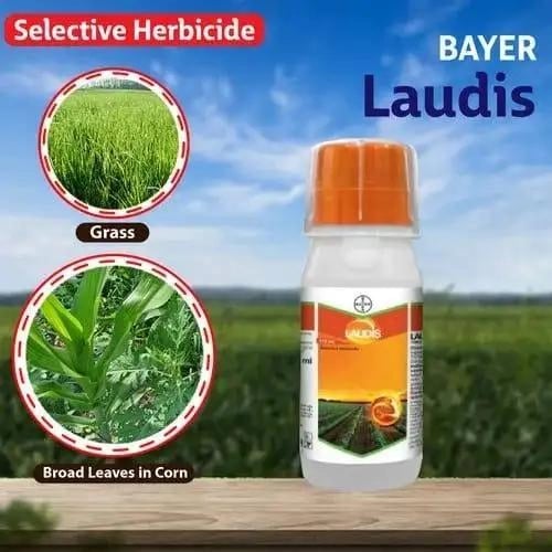 Bayer Laudis Tembotrione 42% SC