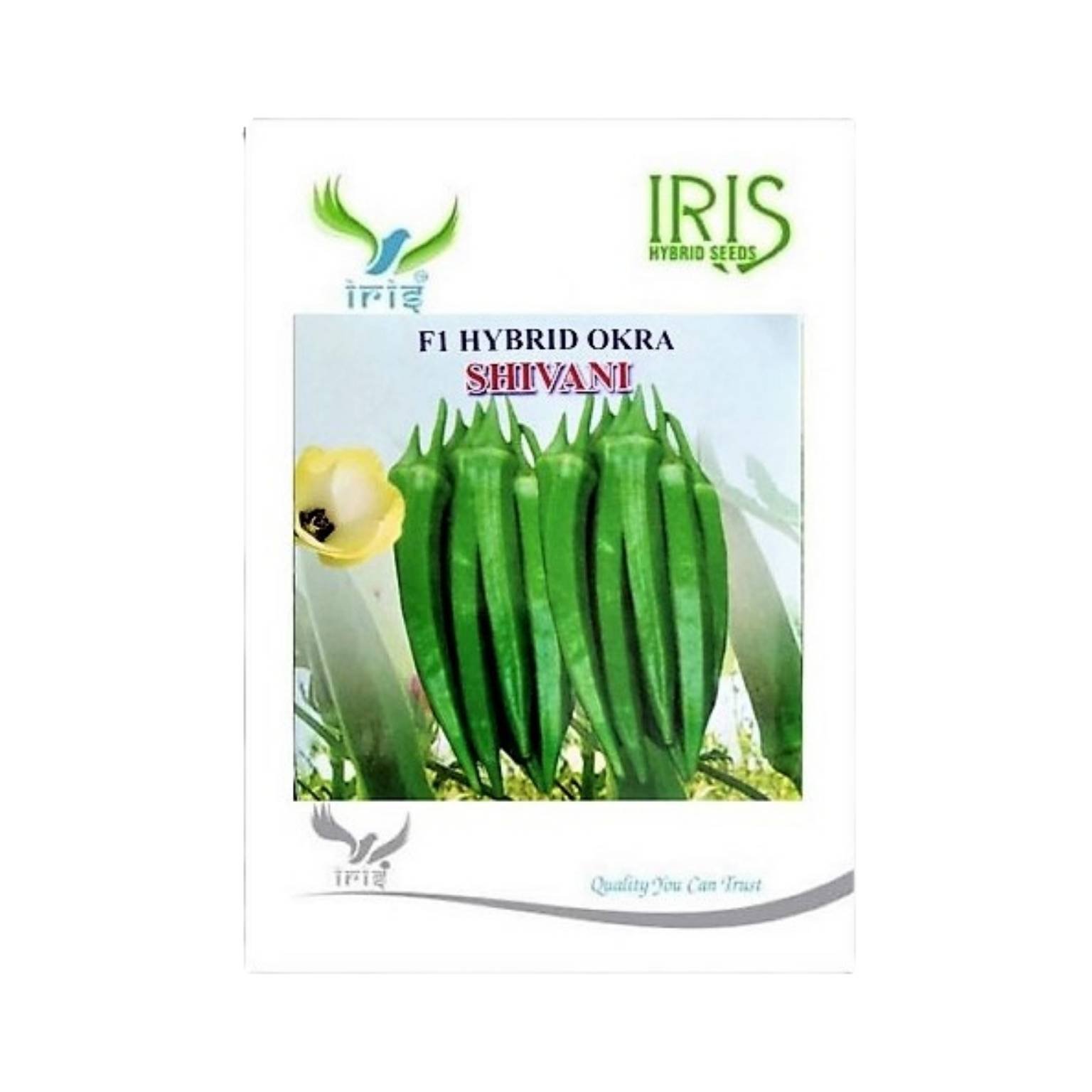 Iris Hybrid Okra (Bhindi) Shivani Vegetable Seeds