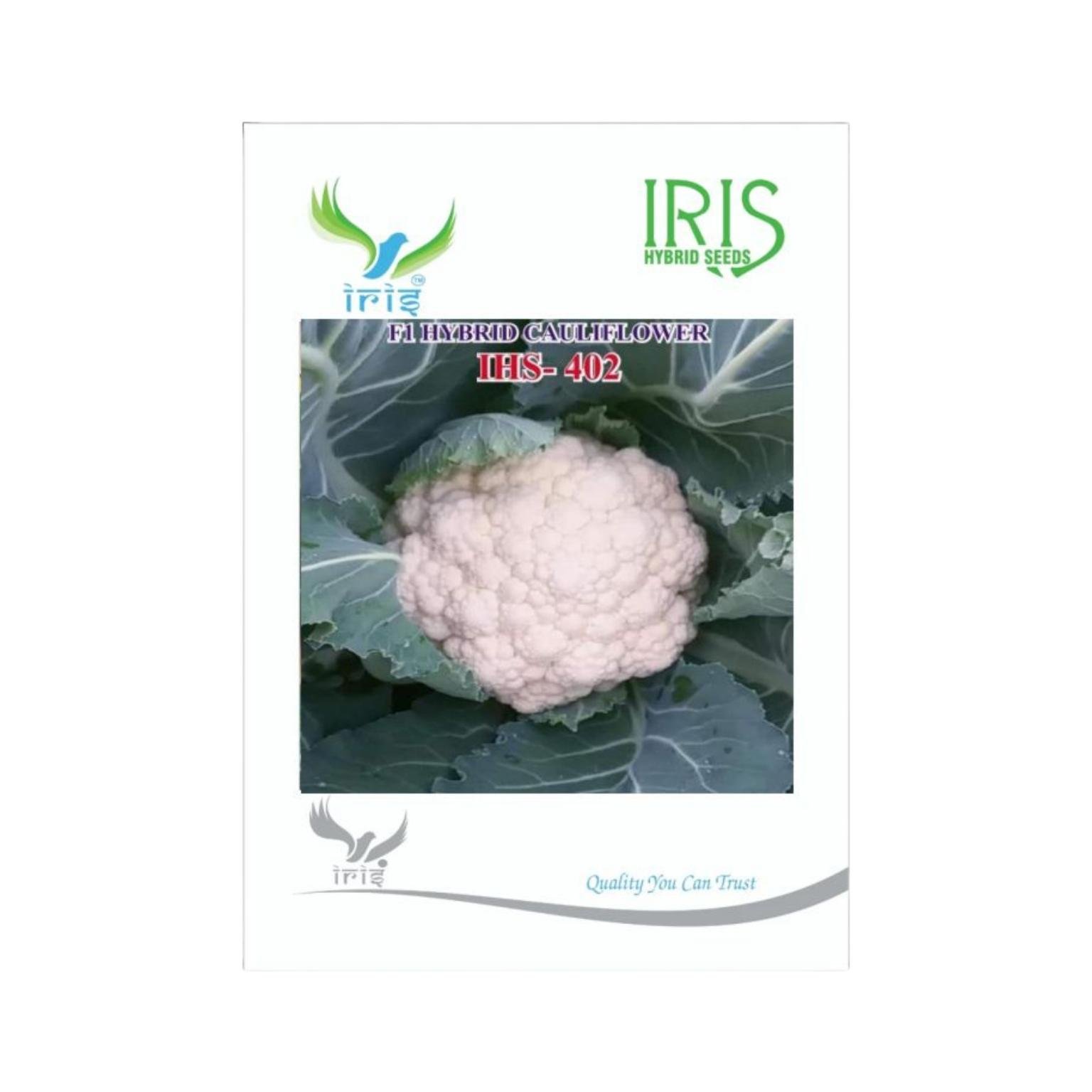 Iris Hybrid Cauliflower IHS 402 Vegetable Seeds