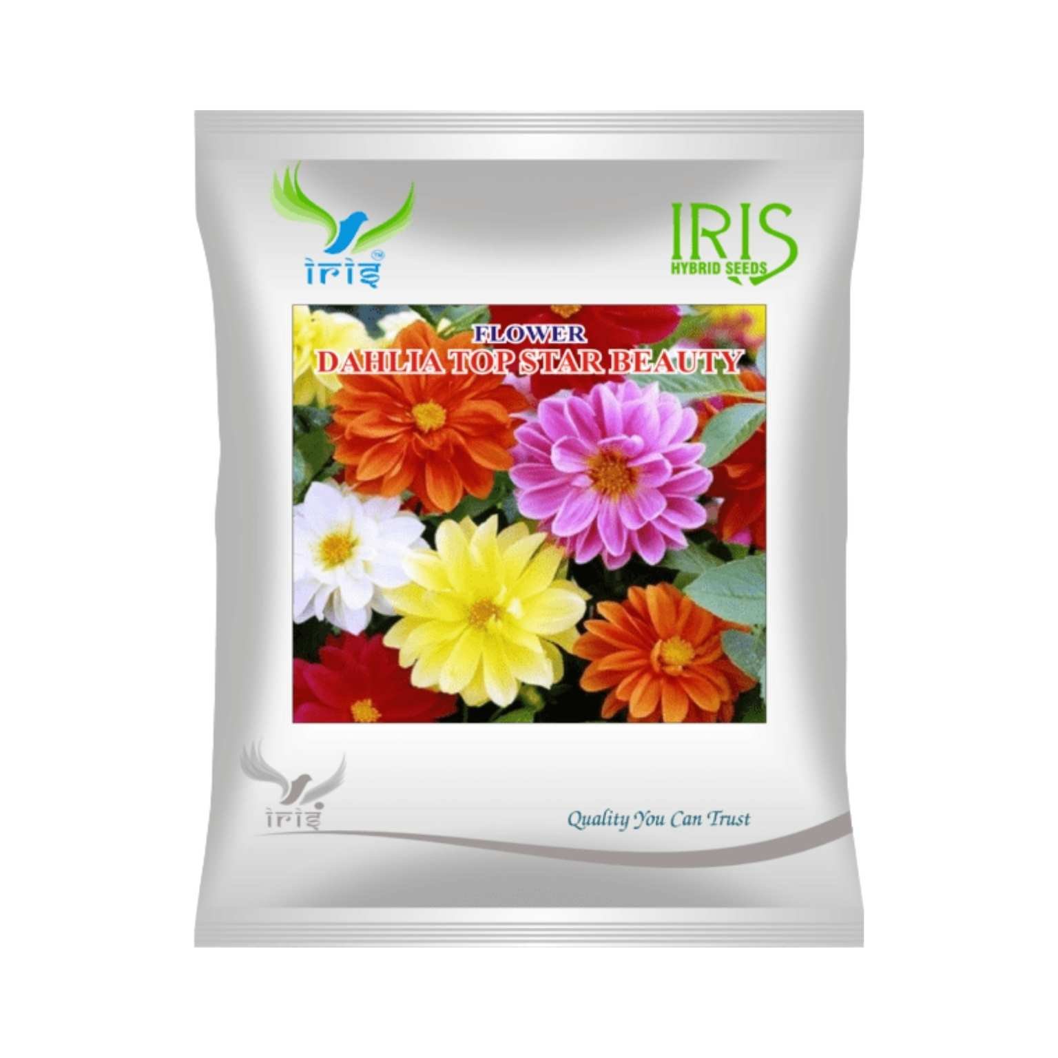 Iris Hybrid Dahlia Top Star Mix Flower Seeds (300 Seeds)