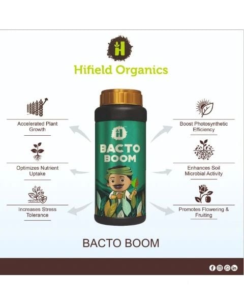 Bacto Boom