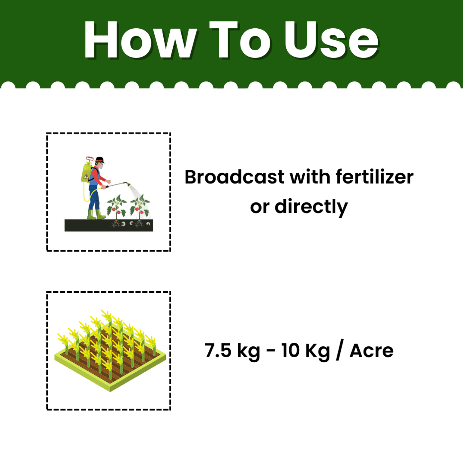 Katyayani Katappa Cartap Hydrochloride 4% gr chemical insecticide