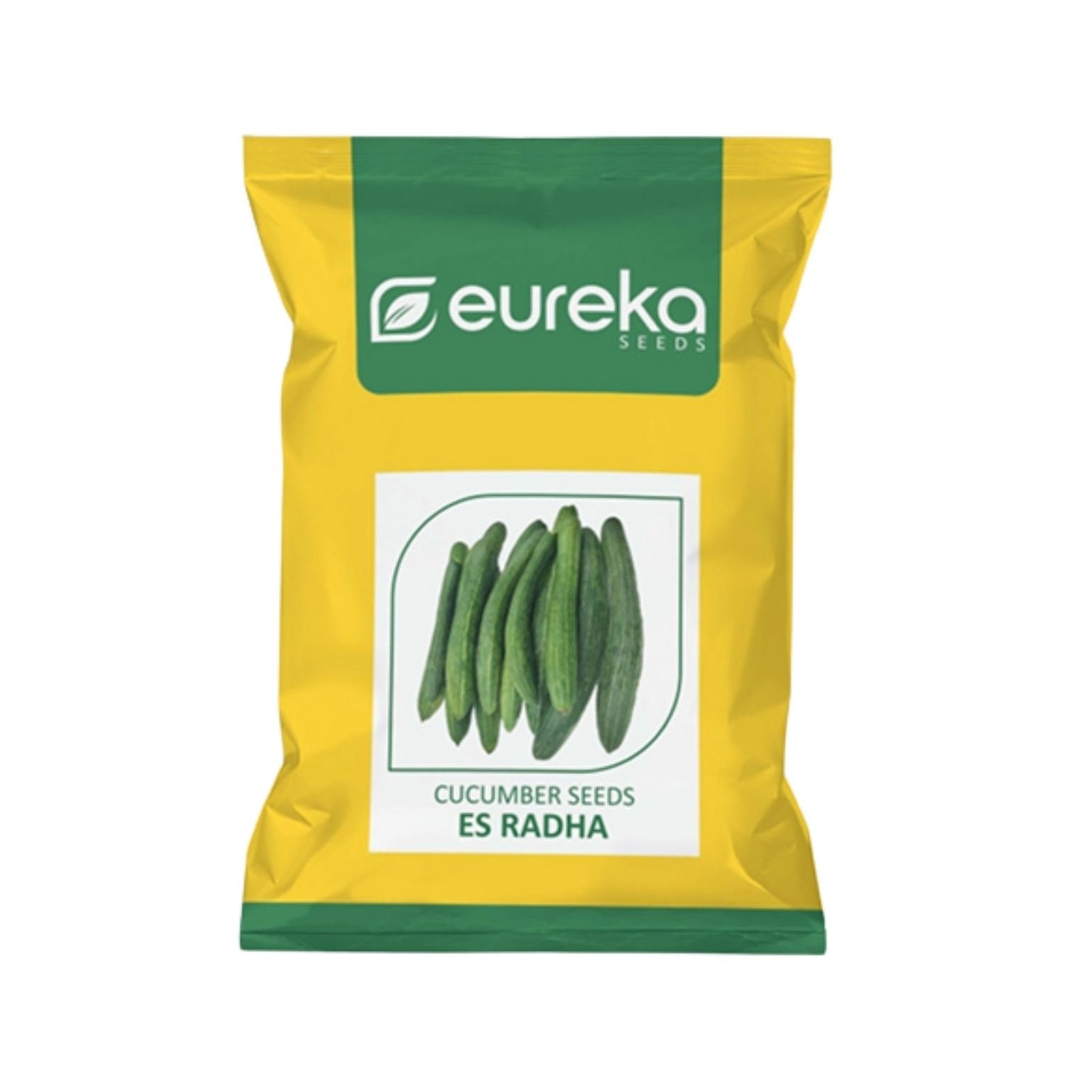 Eureka Cucumber ES Radha Vegetable Seeds