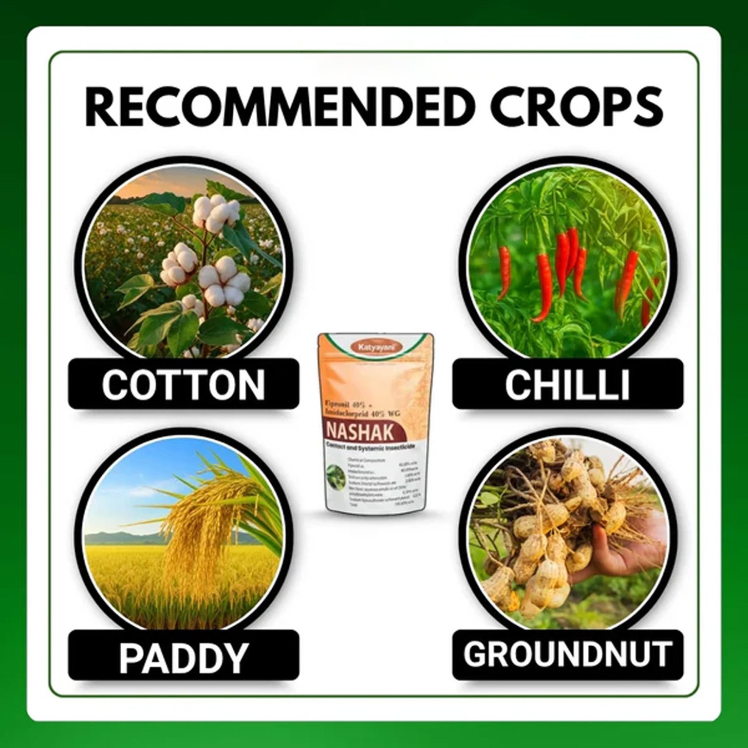 Nashak Chemical Insecticide | Fipronil 40% + Imidacloprid 40% WG | Katyayani