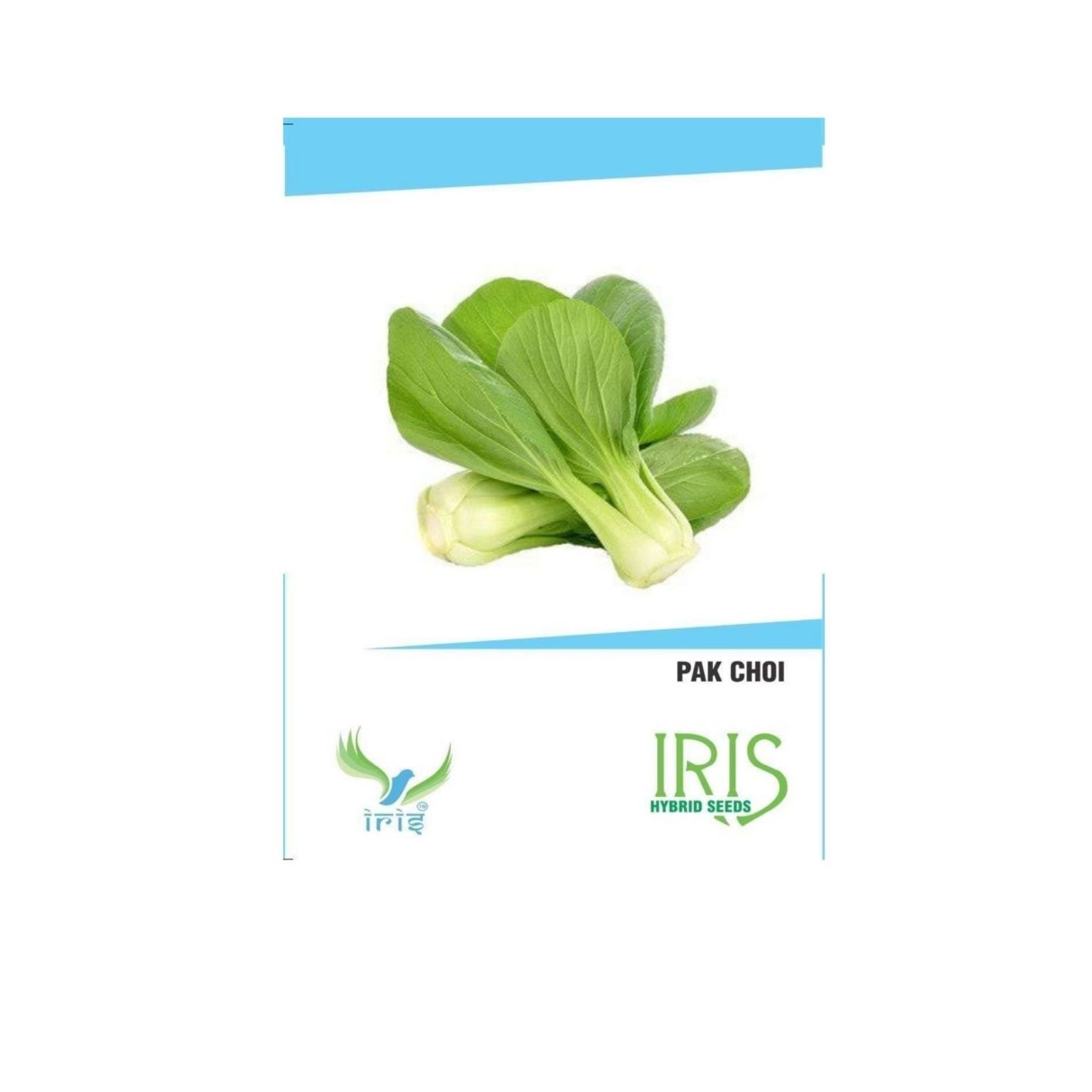 Iris Hybrid Pak Choi Vegetable Seeds