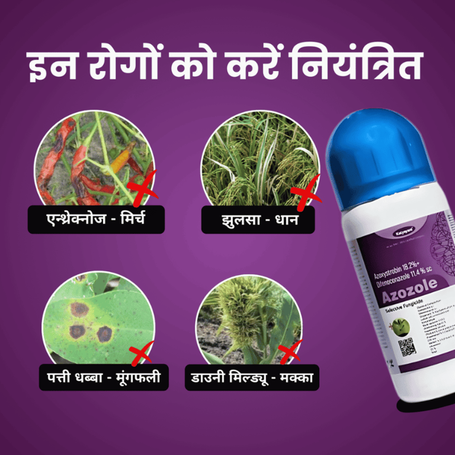 Azozole Chemical Fungicide | Azoxystrobin 18.2 % + difenoconazole 11.4 % SC | Katyayani