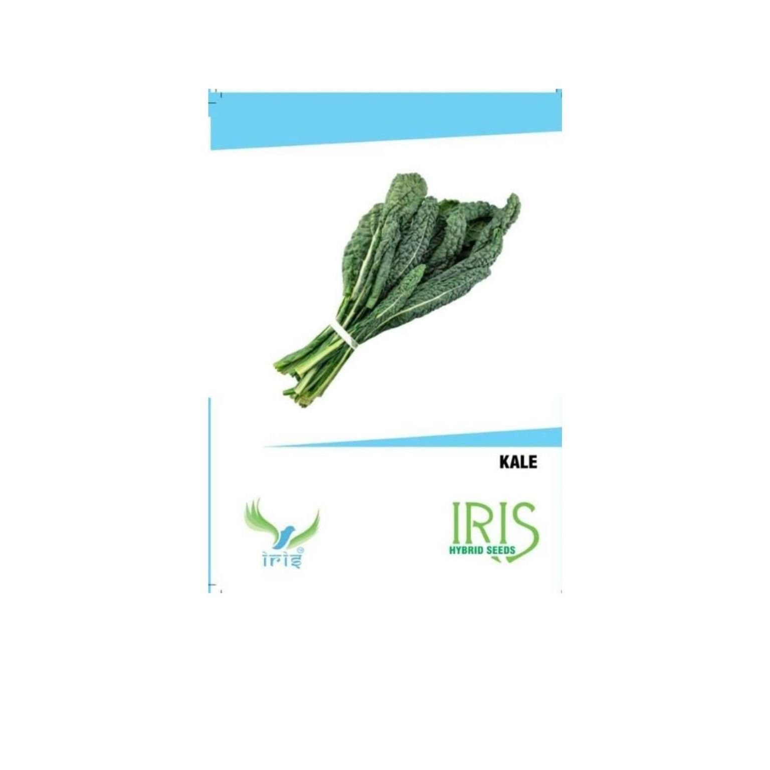 Iris Hybrid Kale Vegetable Seeds