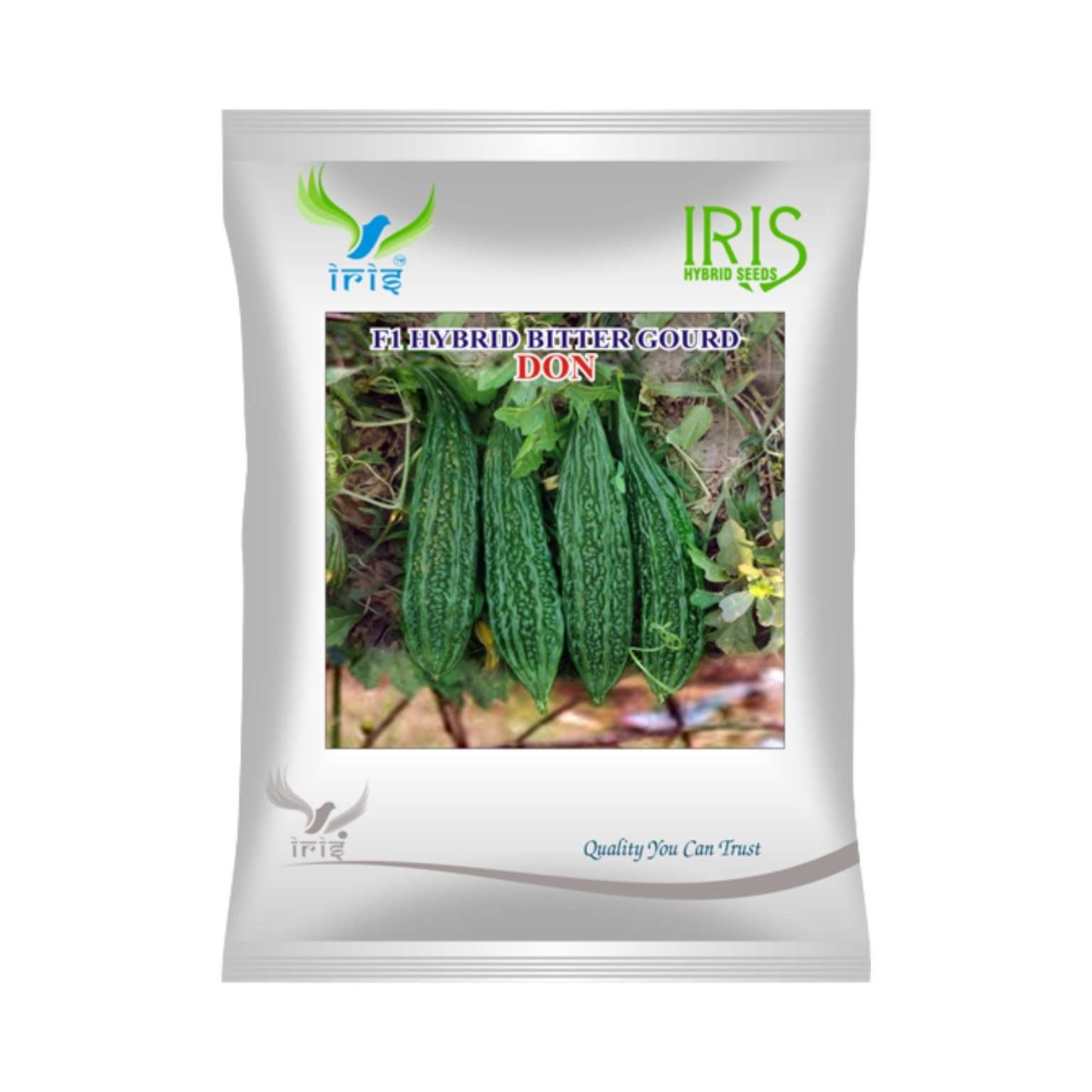 Iris Hybrid Bitter Gourd Don Vegetable Seeds