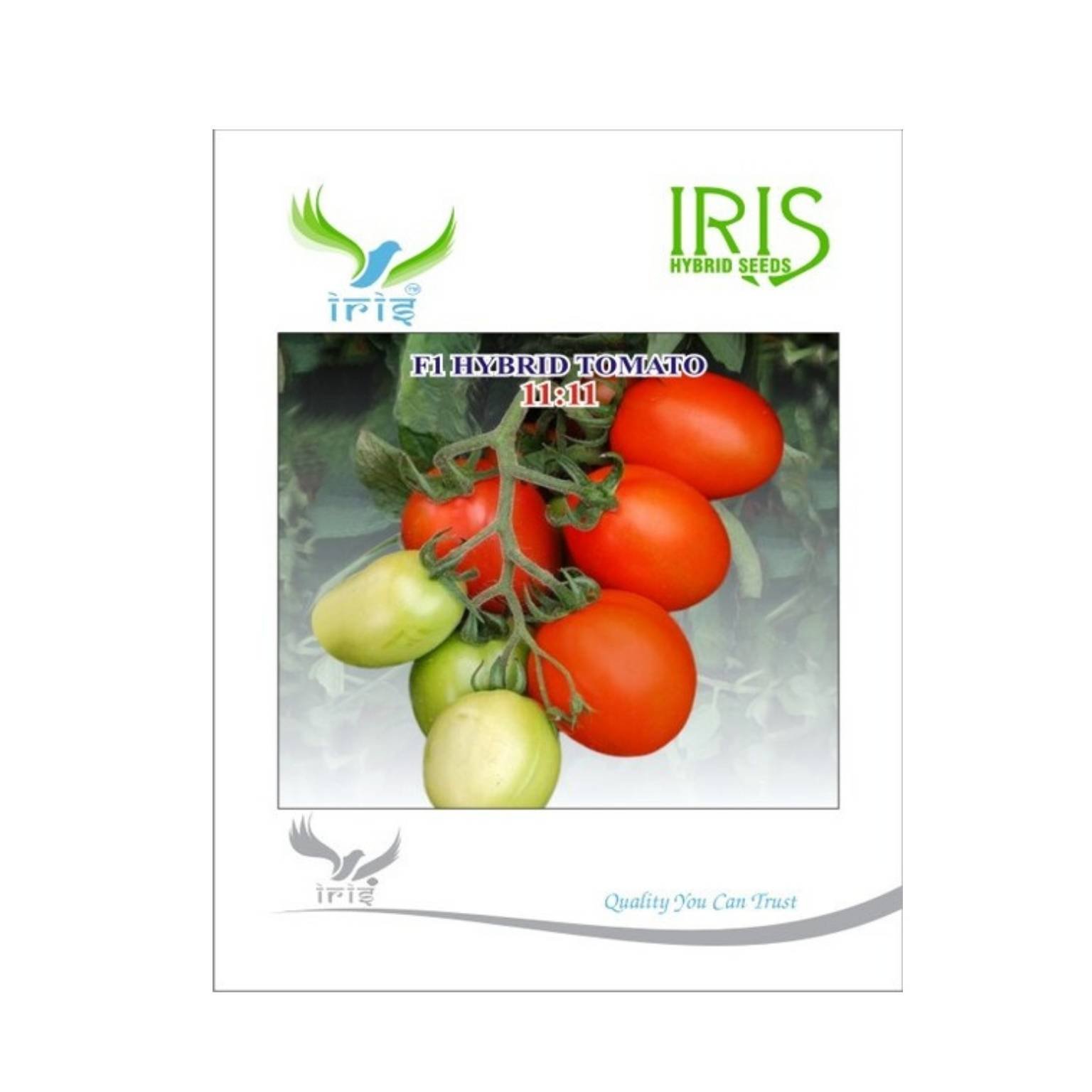 Iris Hybrid Tomato 11:11 Vegetable Seeds
