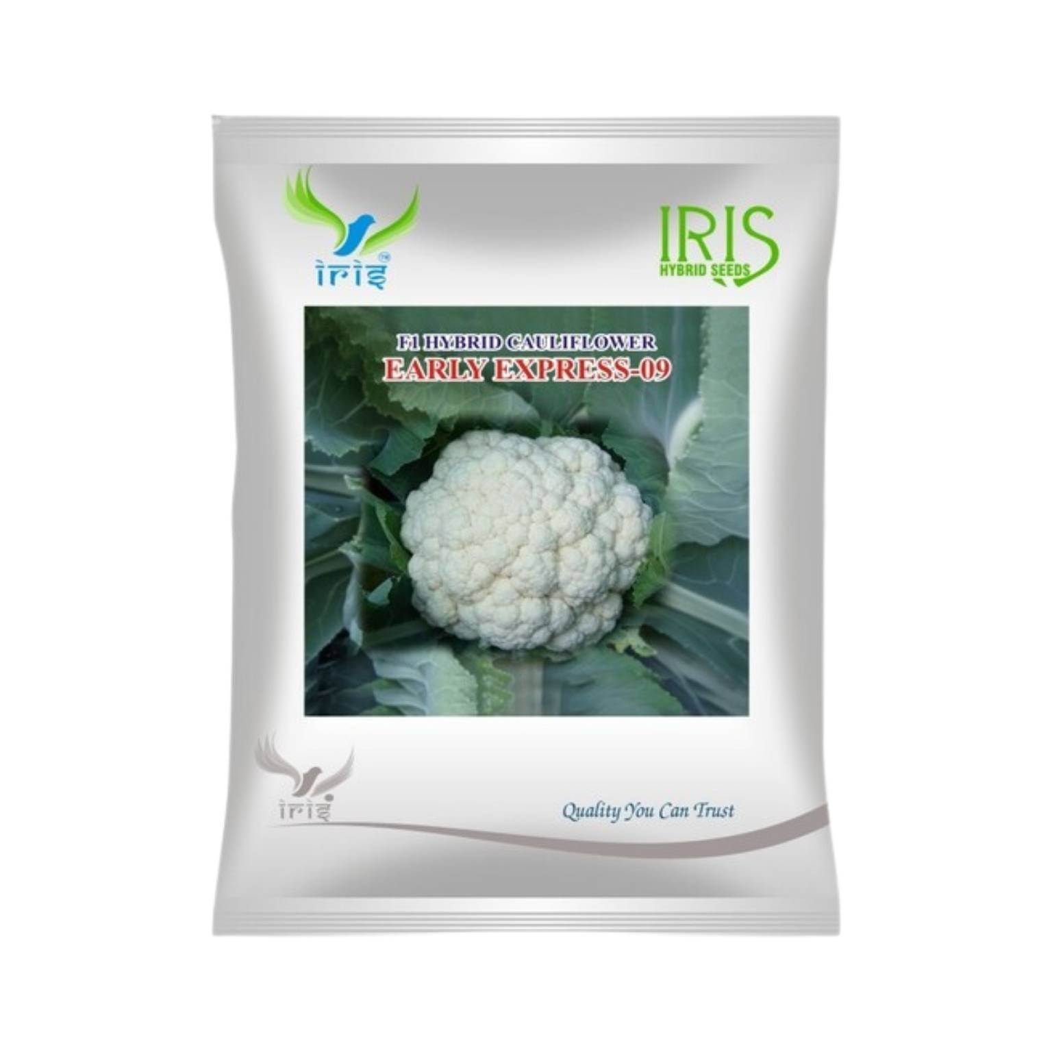Iris Hybrid Cauliflower Early Express 09 Vegetable Seeds