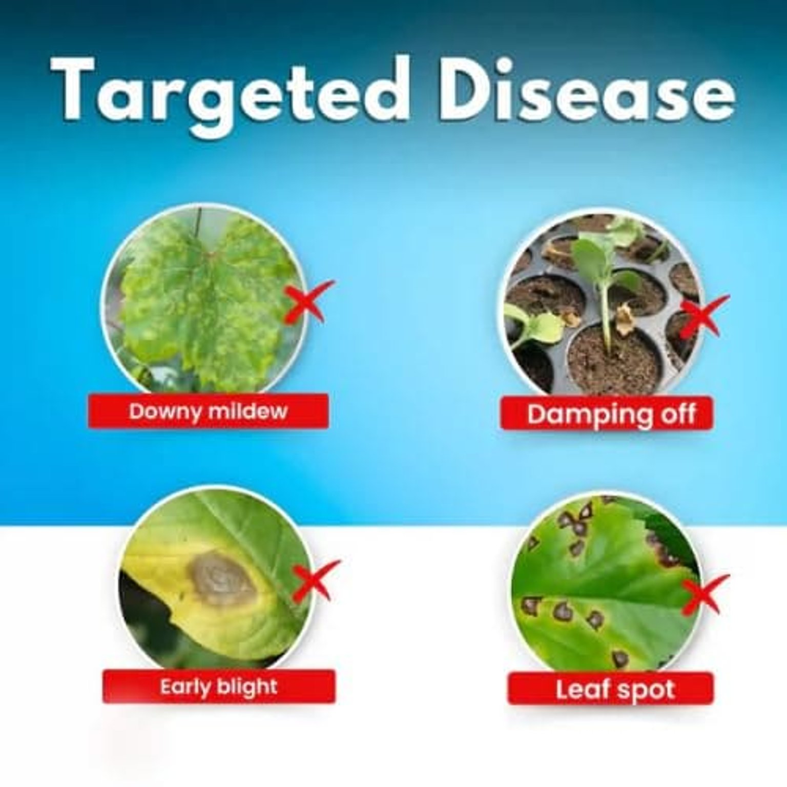Katyayani Meta-Manco Metalaxyl 8% + Mancozeb 64% WP Fungicide