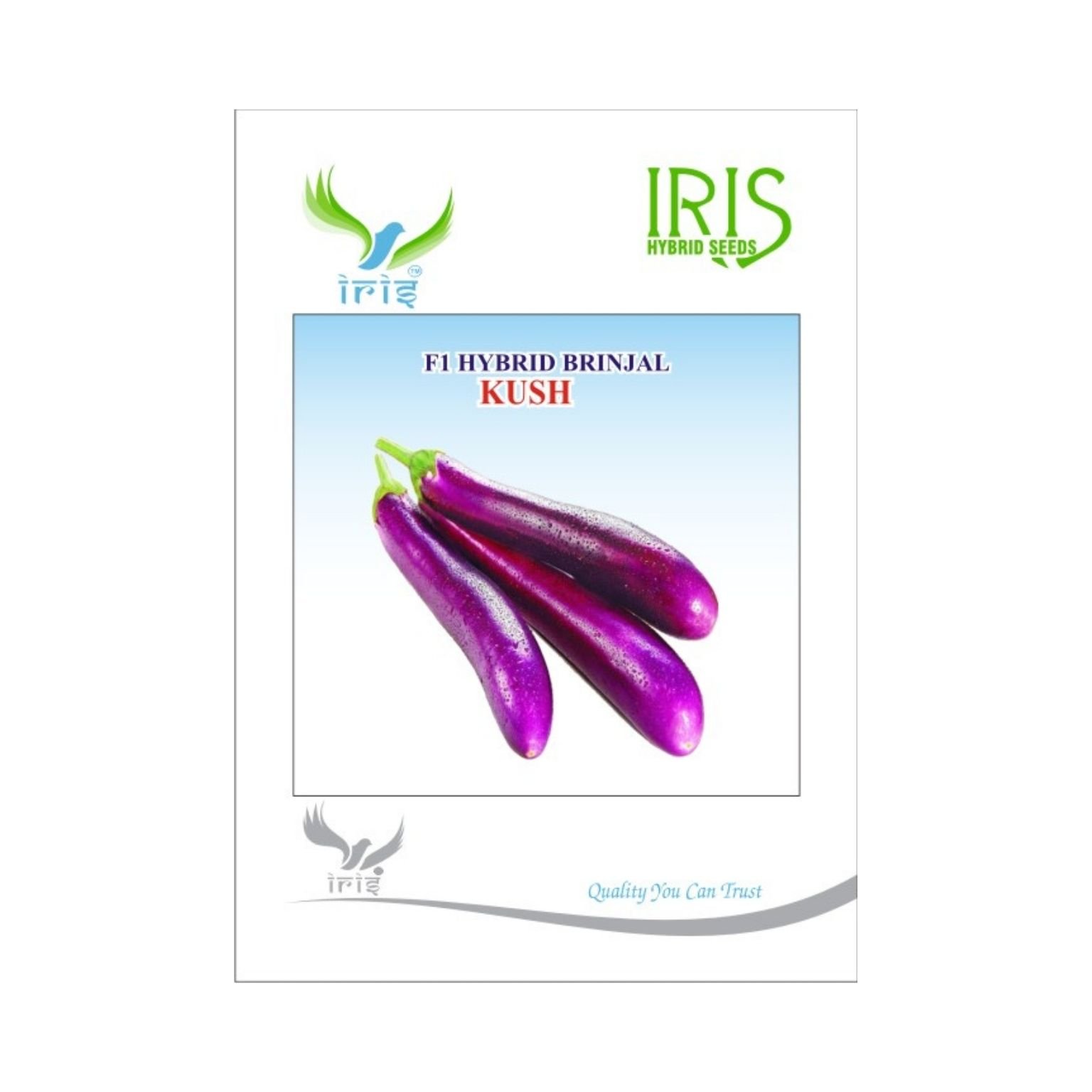 Iris Hybrid Brinjal KUSH Vegetable Seeds