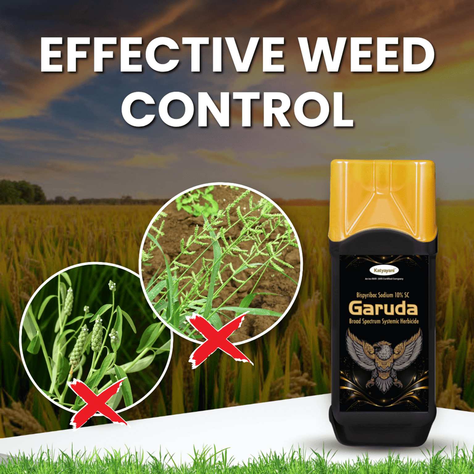 Katyayani Garuda Bispyribac Sodium 10% SC Chemical Herbicide