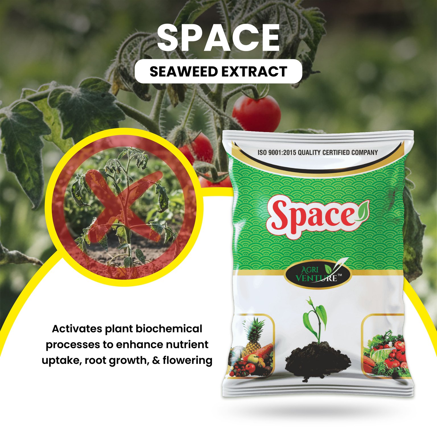 Agri Venture Space Seaweed Extract Plant Growth Regulator