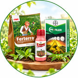 Crop Protection