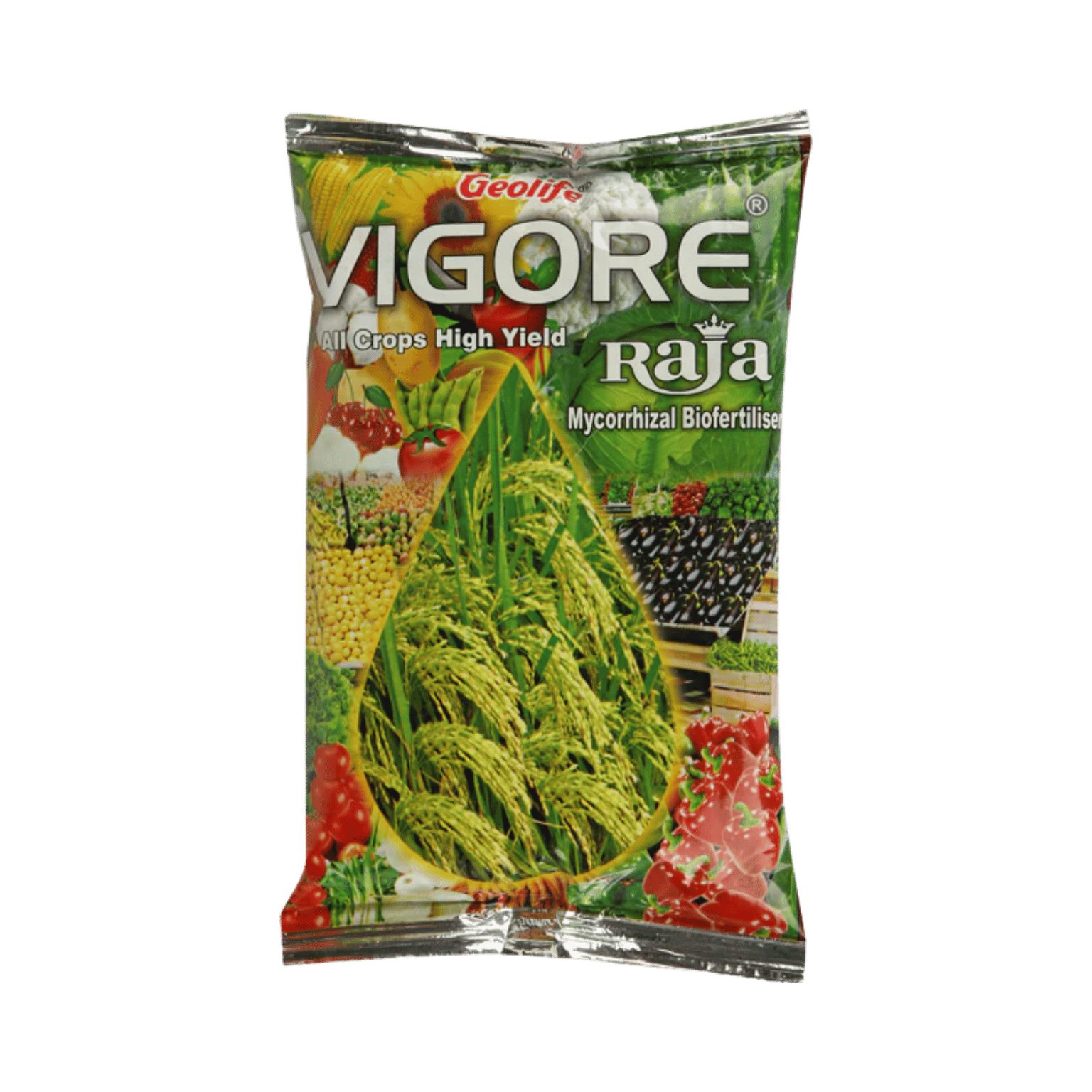 Geolife Vigore Raja Mycorrhizal Bio Fertilizer
