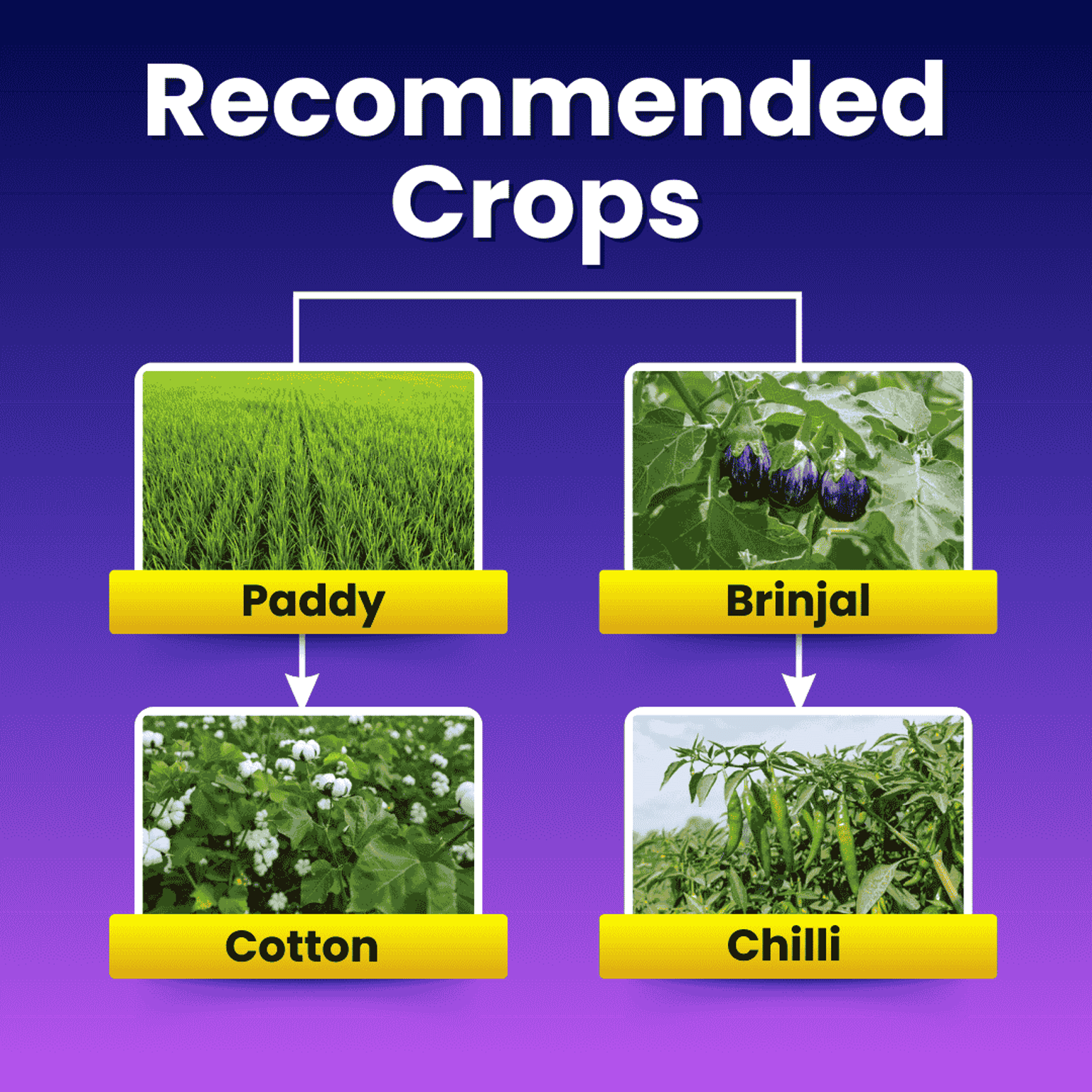 Katyayani Spino 45 Spinosad 45% SC Chemical Insecticide