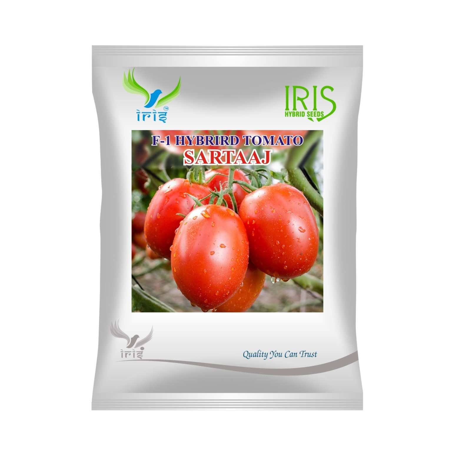 Iris Hybrid Tomato Sartaaj Vegetable Seeds