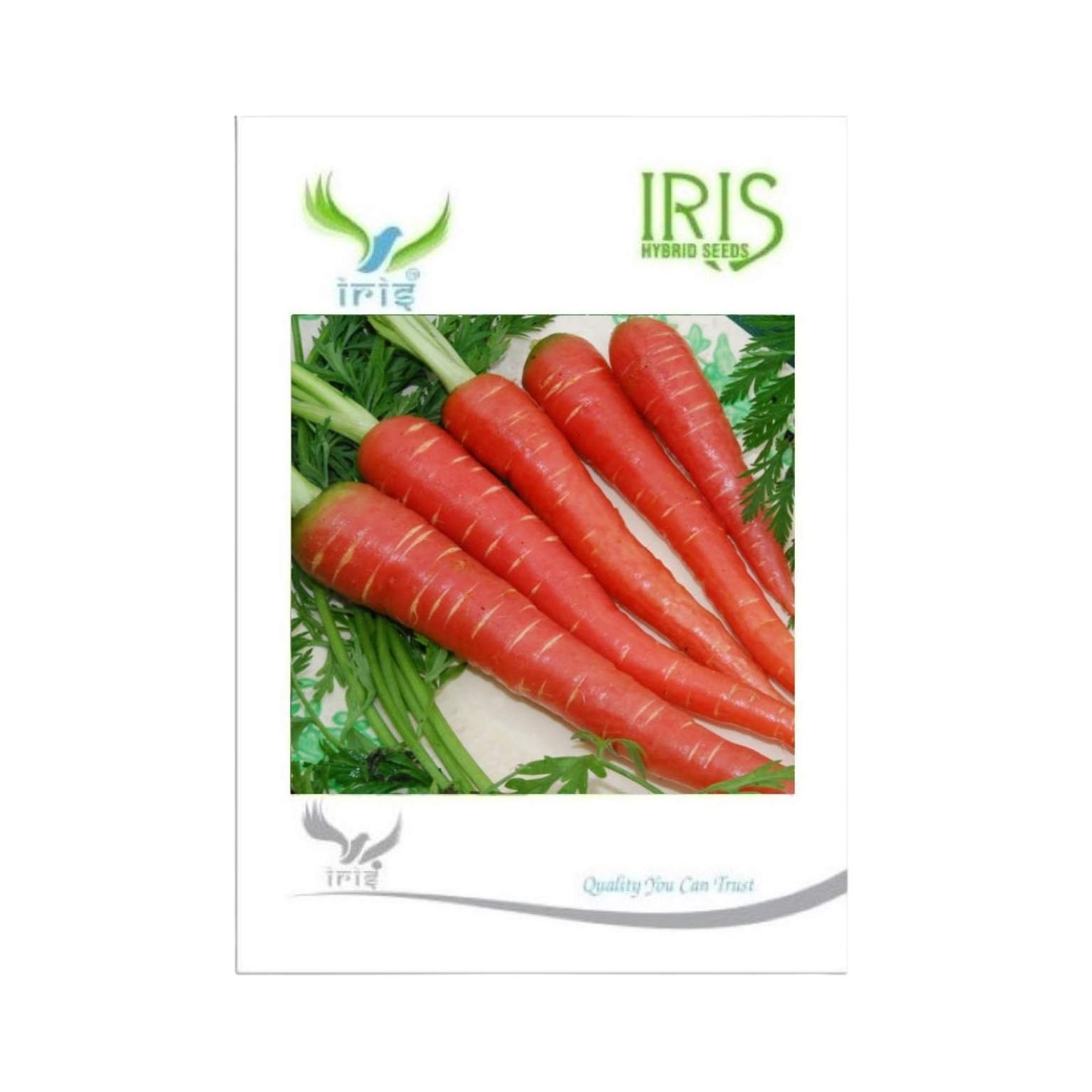 Iris Hybrid Carrot Vegetable Seeds