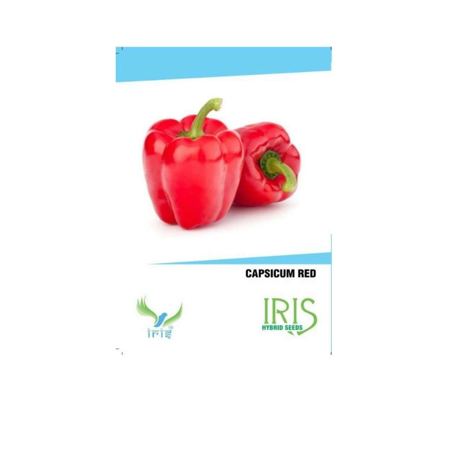 Iris Hybrid Capsicum Red Vegetable Seeds