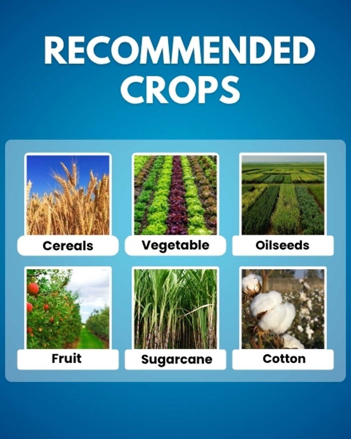 Pro Grow (Gibberellic Acid 0.001% L) Plant Growth Regulator | Bharat Agrolink