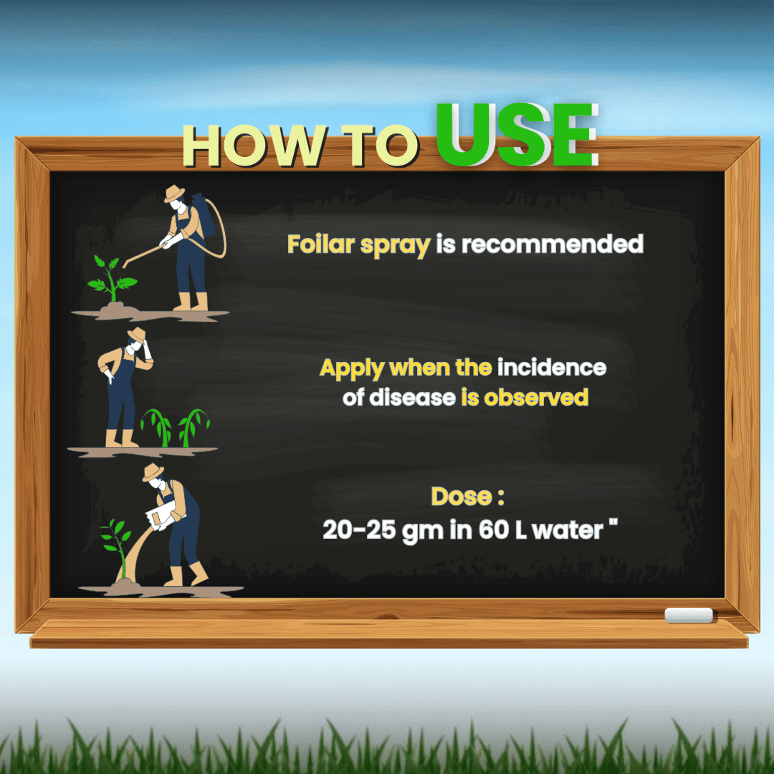 Katyayani Joker Fipronil 80% WG Chemical Insecticide