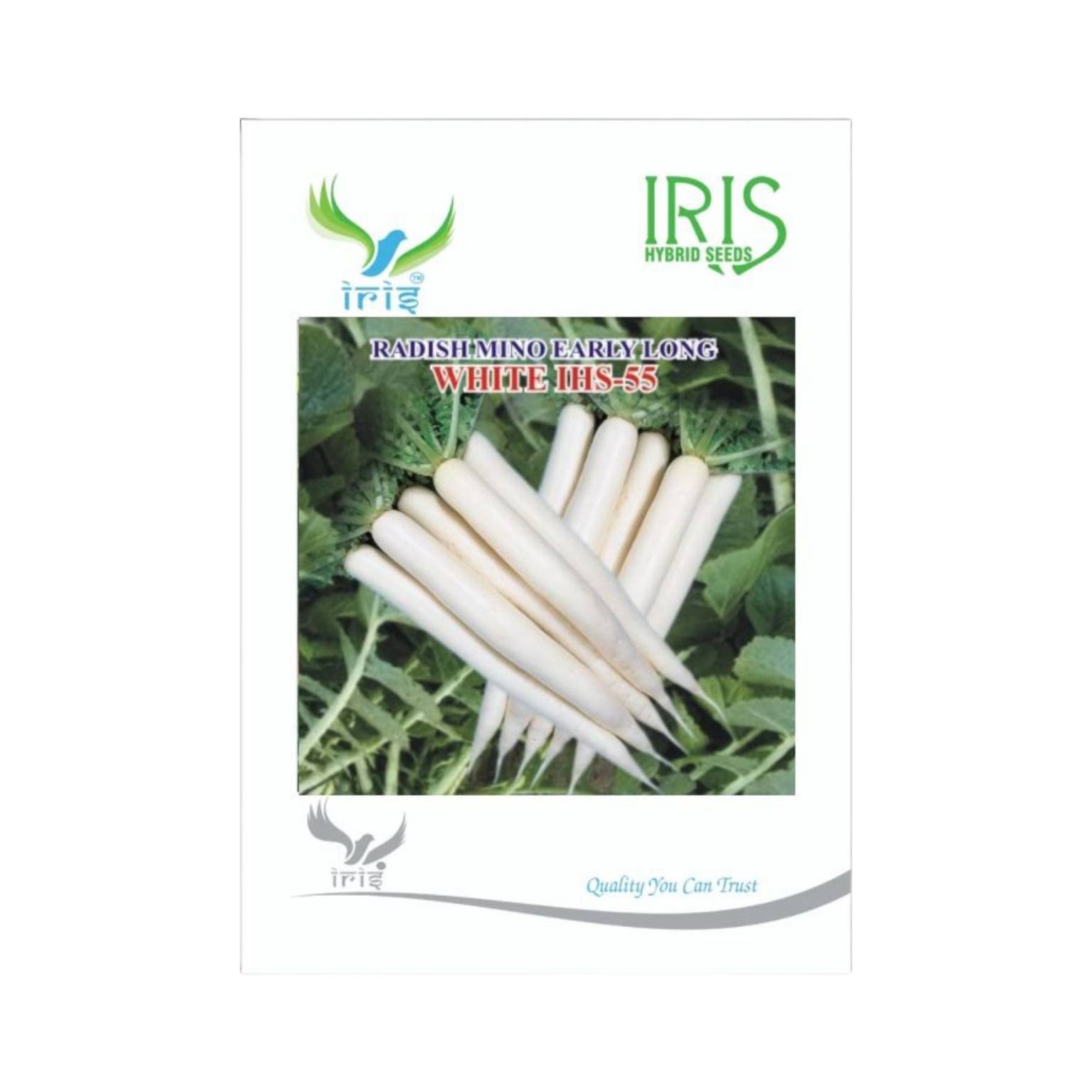 Iris Hybrid Seeds Radish IHS 55 Vegetable Seeds