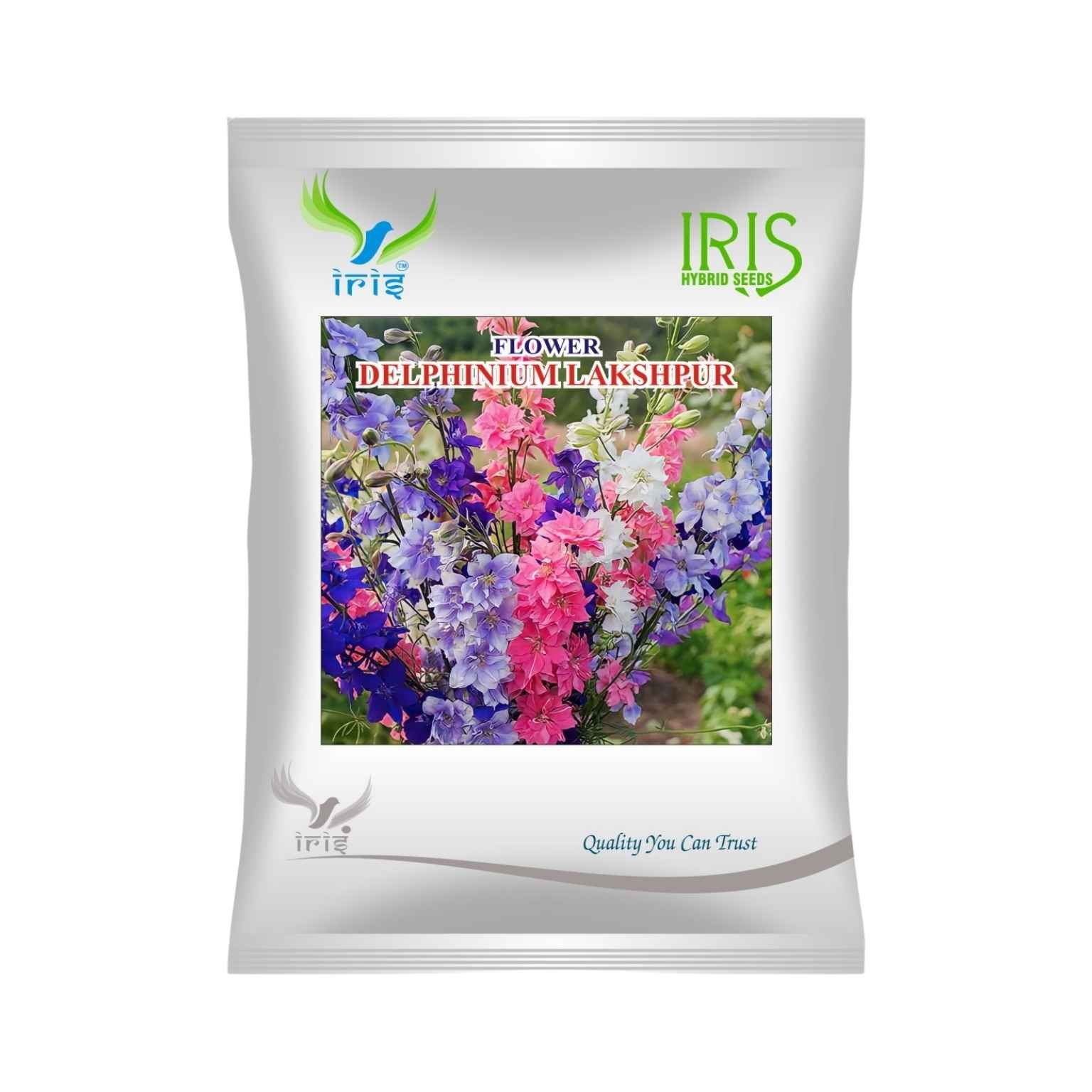 Iris Hybrid Delphinium Larkspur Flower Seeds (300 Seeds)
