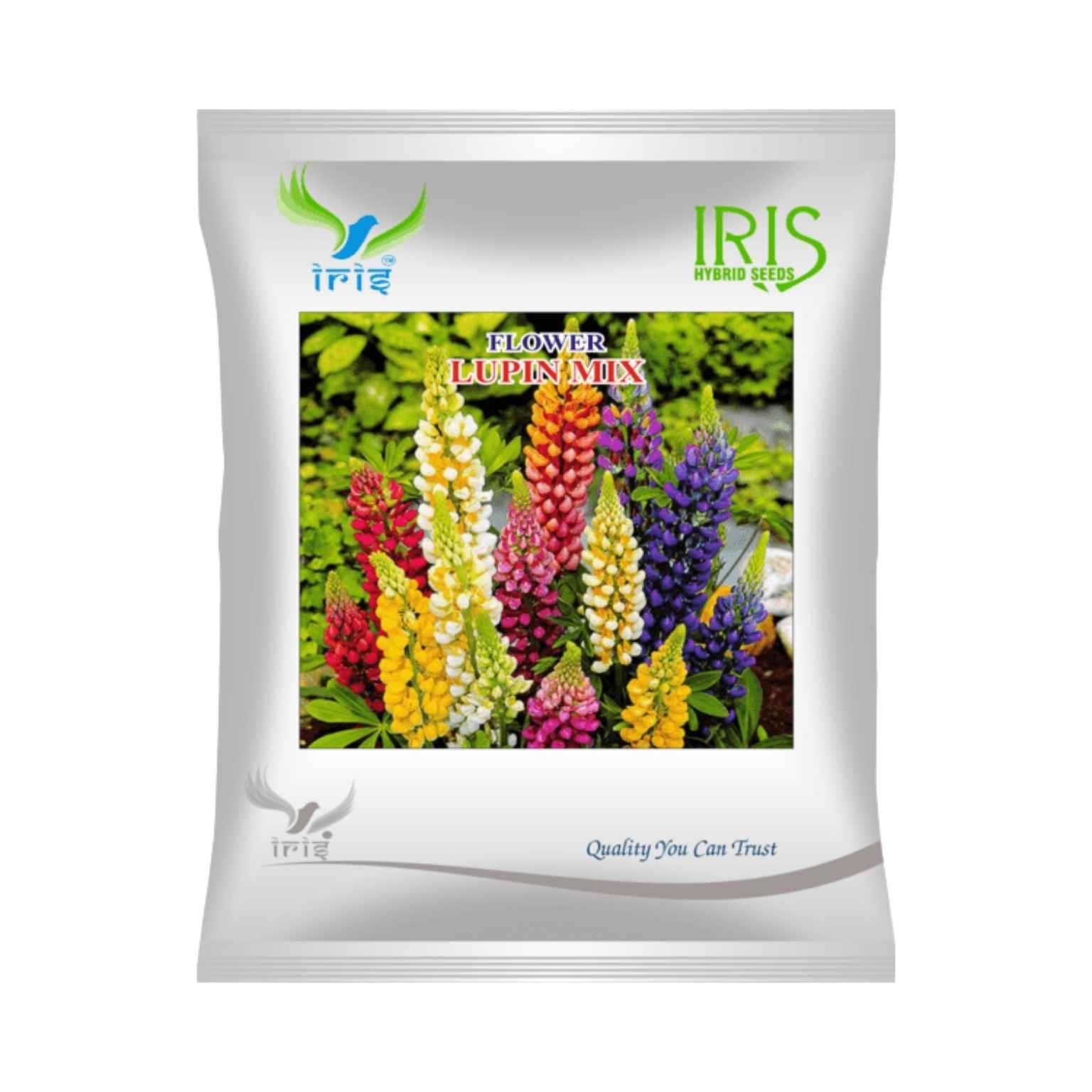 Iris Hybrid Lupin Mix Flower Seeds