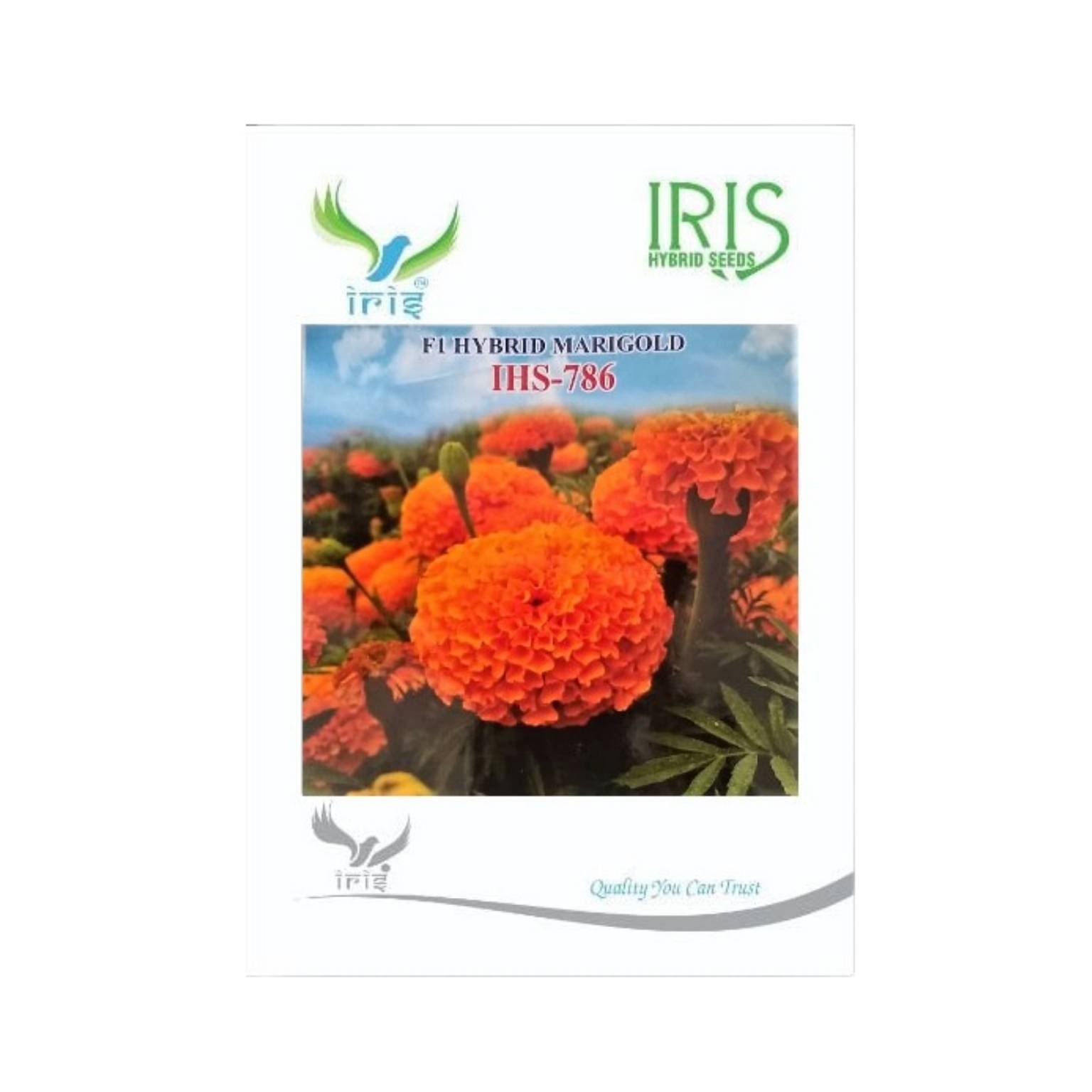 Iris Hybrid Marigold Orange IHS 786 Flower Seeds