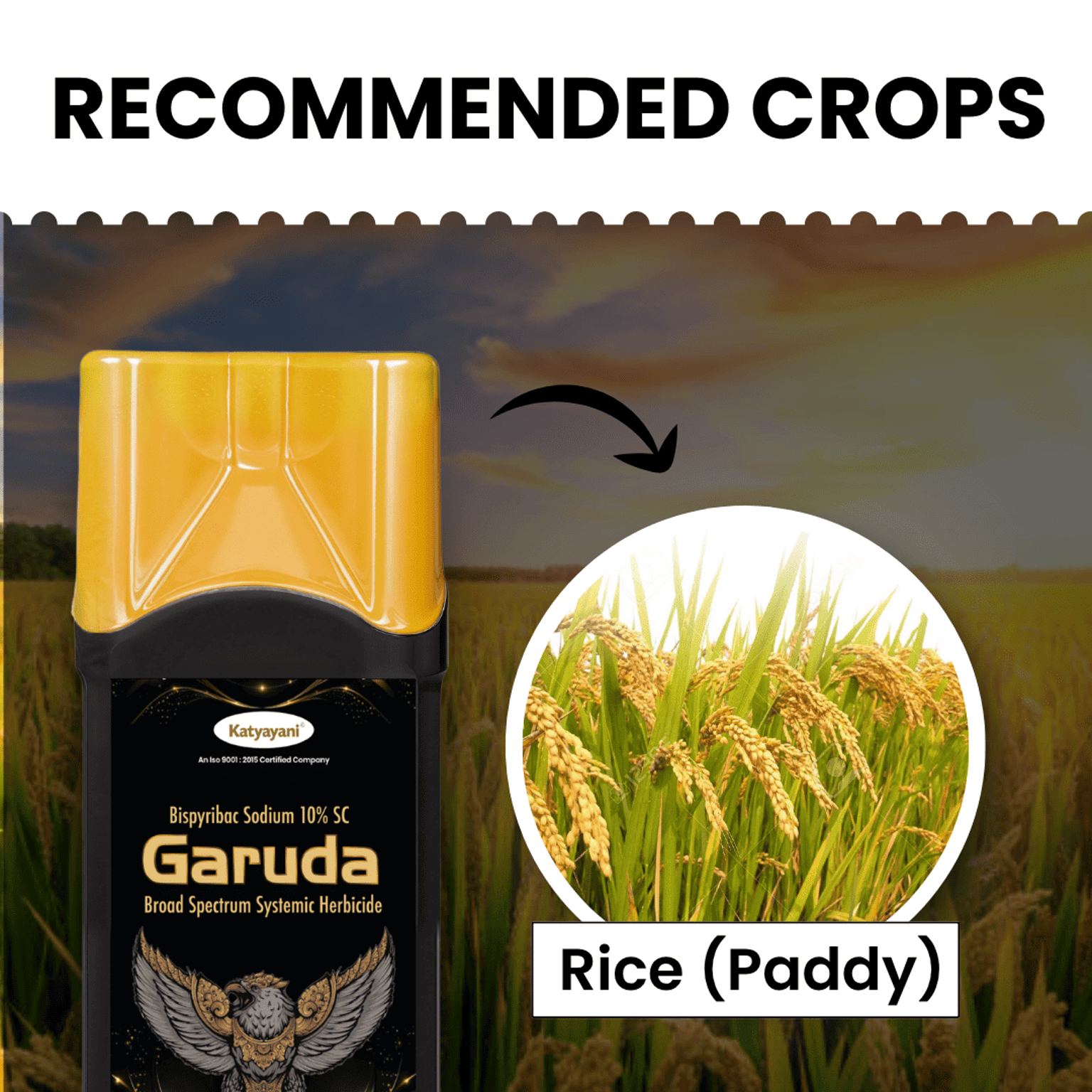 Katyayani Garuda Bispyribac Sodium 10% SC Chemical Herbicide