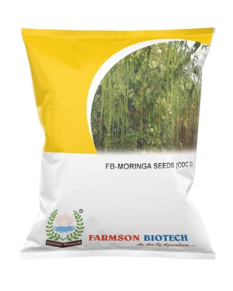 MORINGA FB-MORINGA ODC 3