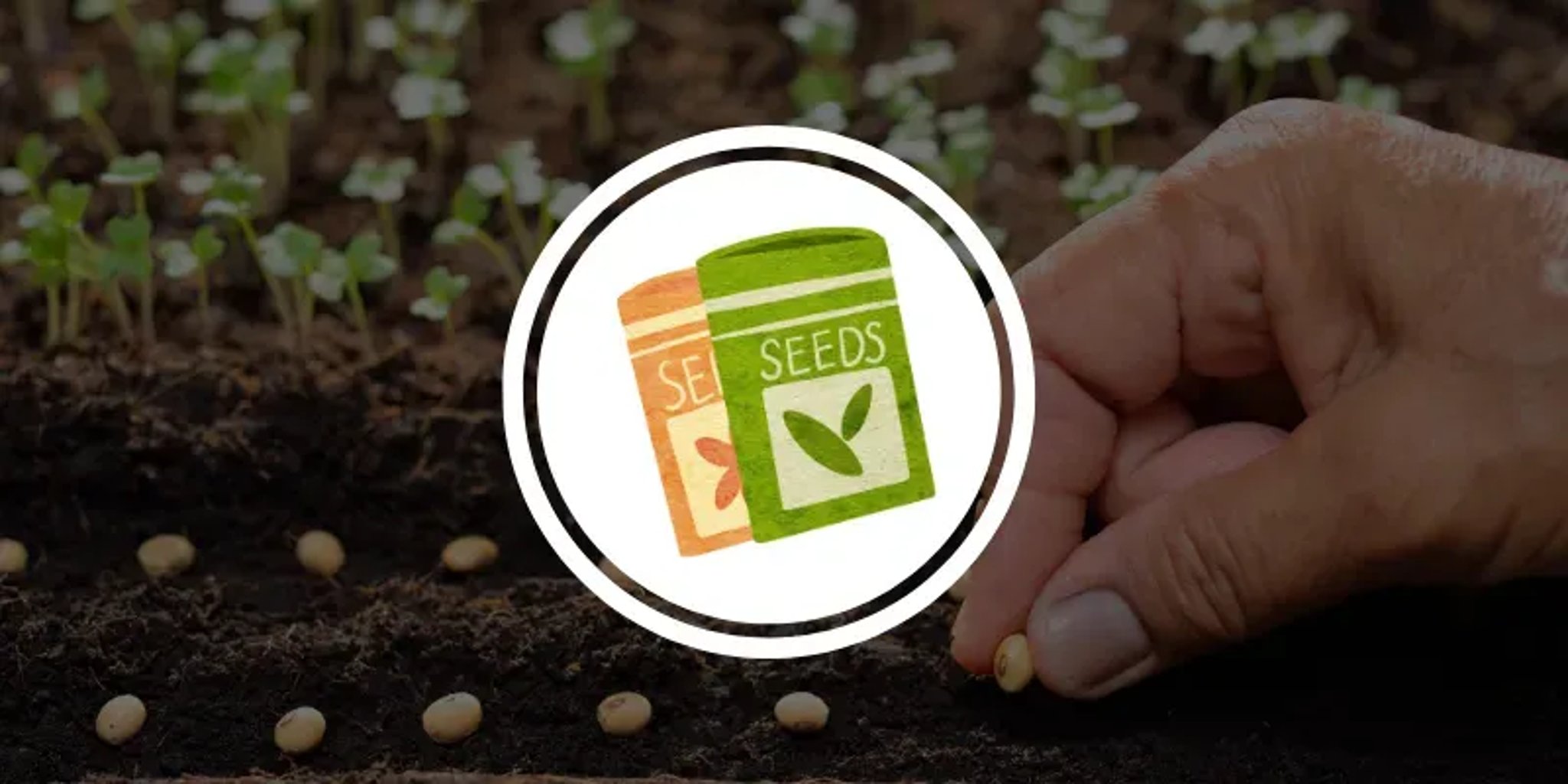 PULSE SEEDS