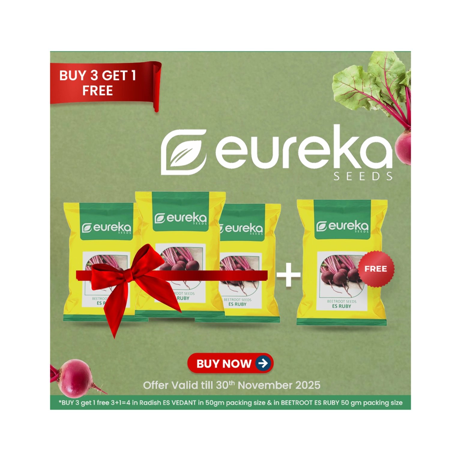 Eureka Beetroot Seeds ES Ruby Improved 50 GM – Buy 3 Get 1 Free Advanced Variety Offer