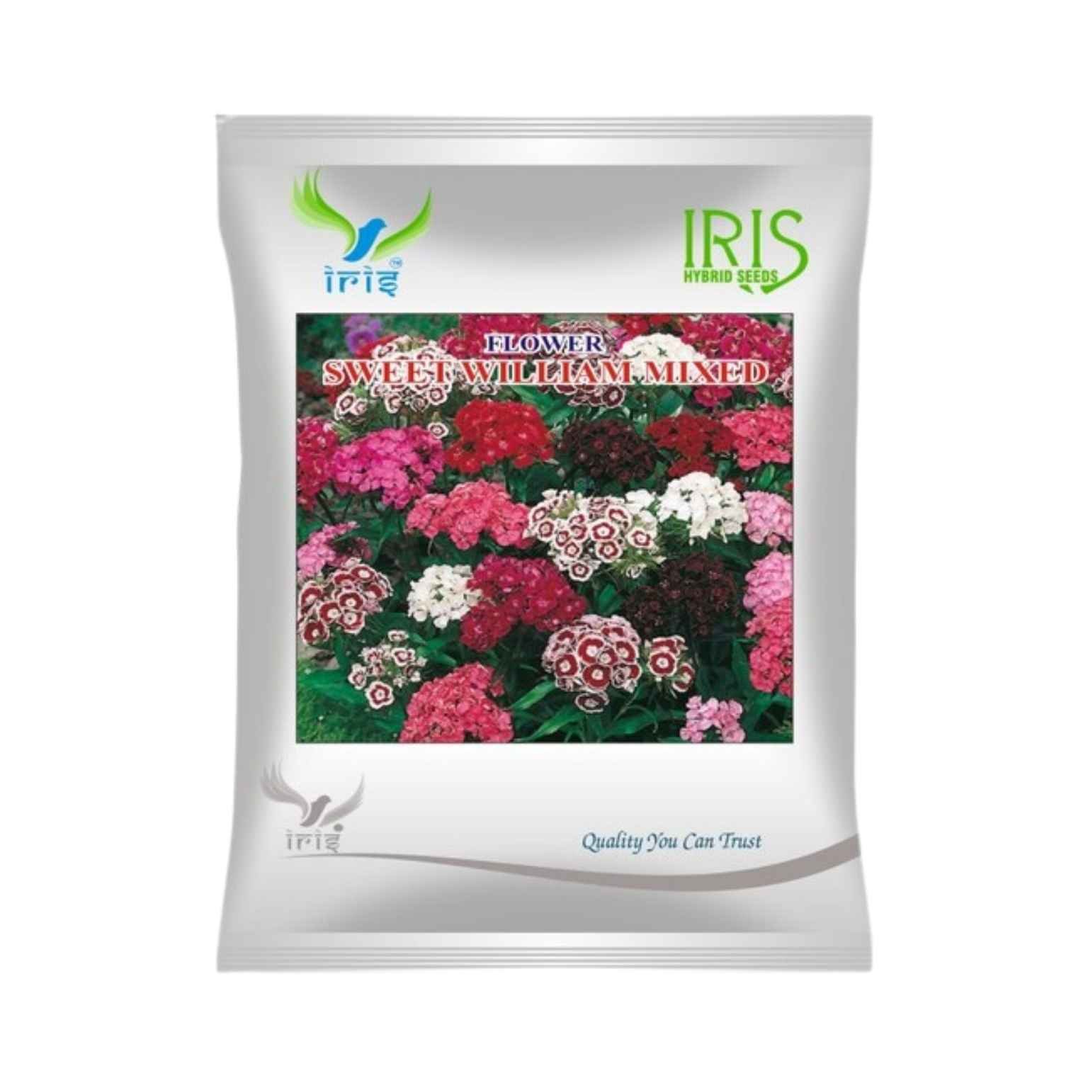 Iris Hybrid Sweet William Mix Flower Seeds