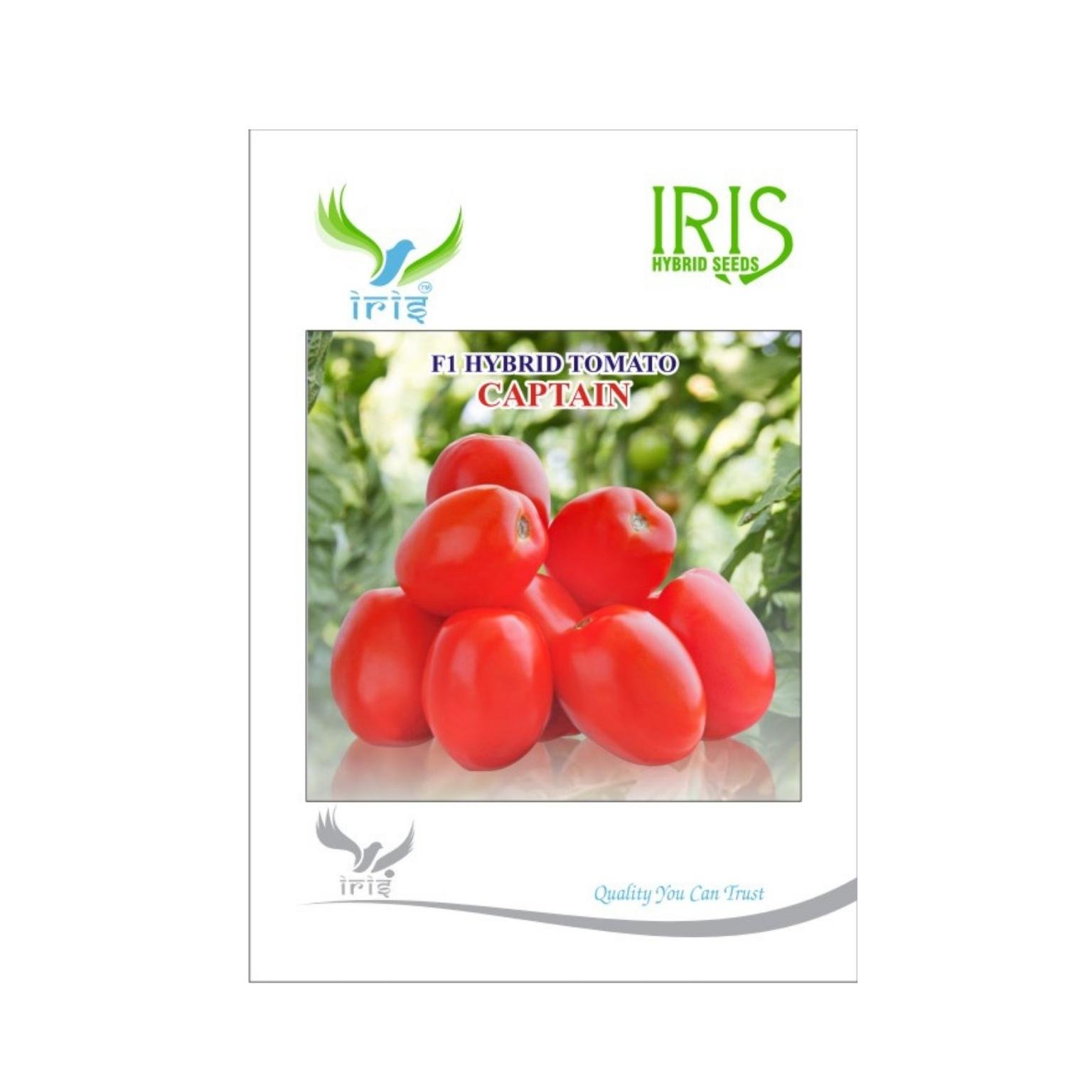 Iris Hybrid Tomato Captain Vegetable Seeds