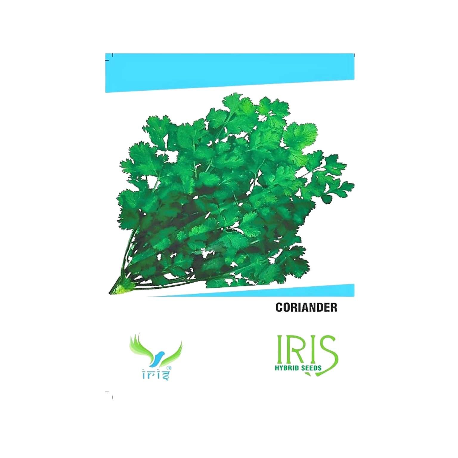 Iris Hybrid Coriander Vegetable Seeds