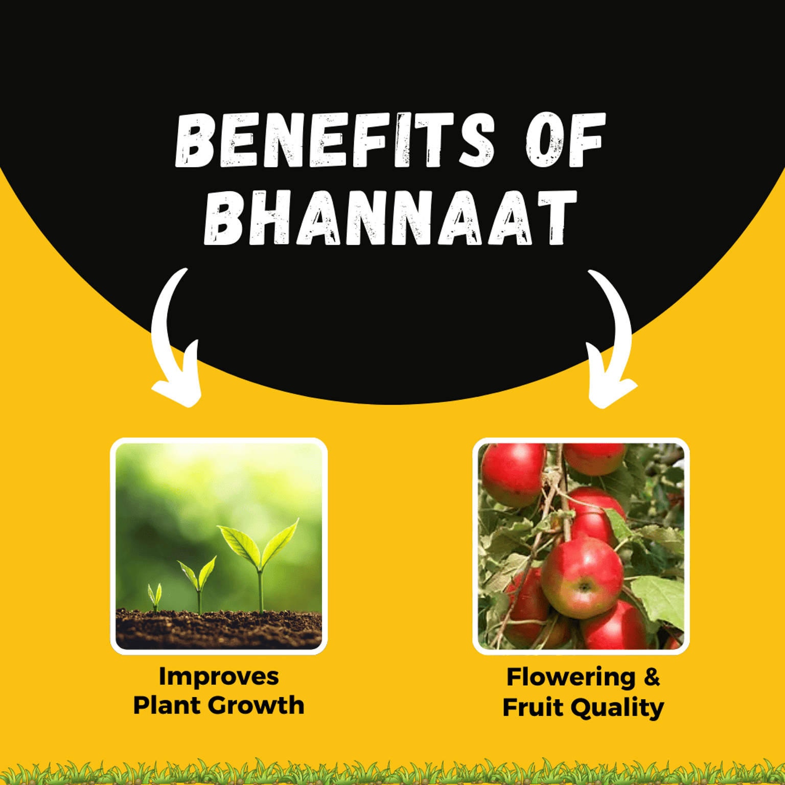 Katyayani Bhannaat Plant Growth Regulator | Katyayani Organics