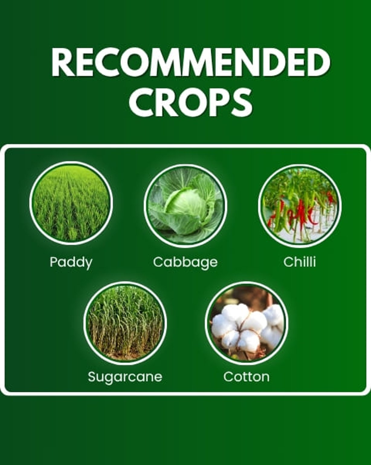 Katyayani Fantasy Fipronil 5% SC