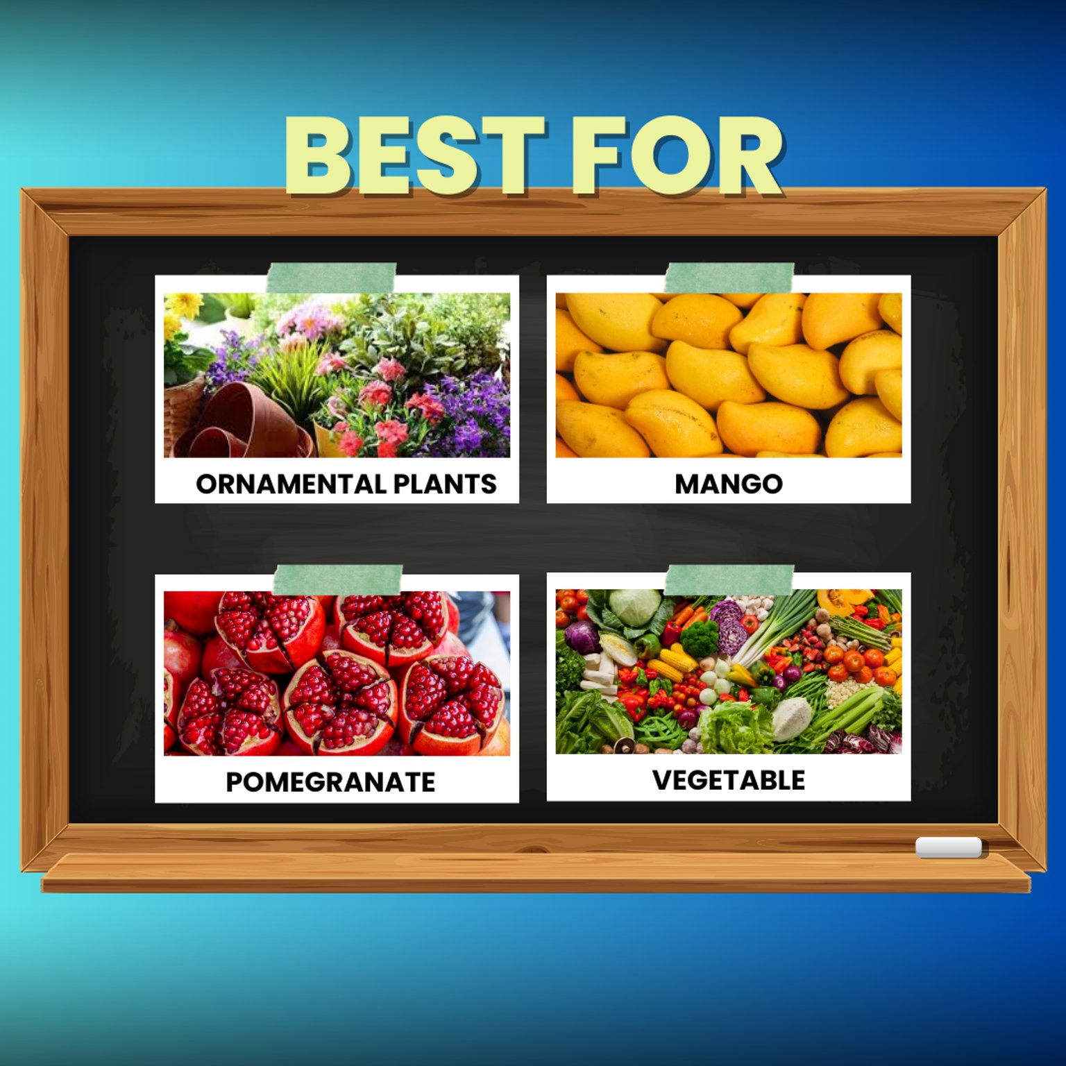 Katyayani Fast | Paclobutrazol 23% SC |  Plant Growth Regulator