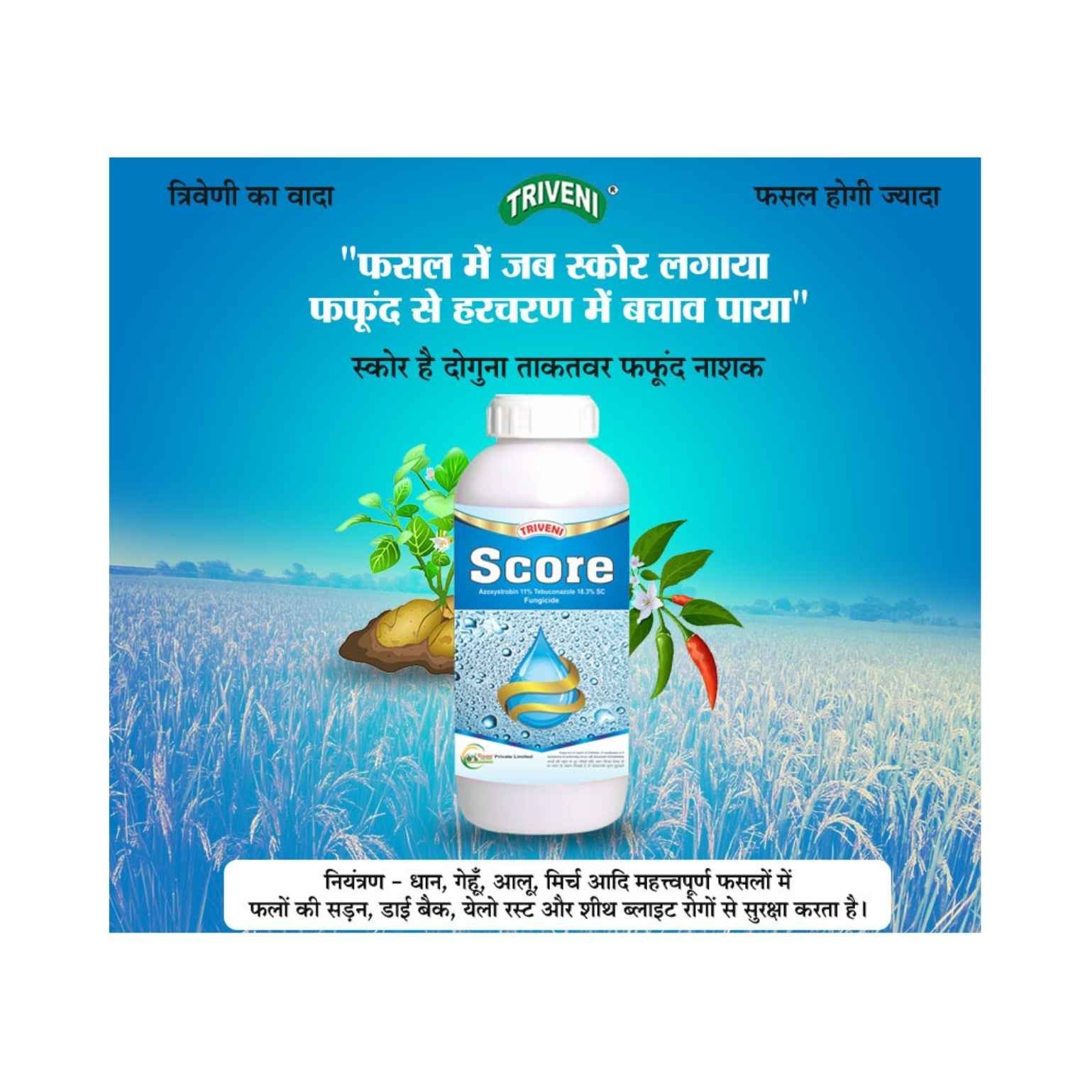 Triveni Score Azoxystrobin 11% +Tebuconazole 18.3% w/w SC  Fungicide