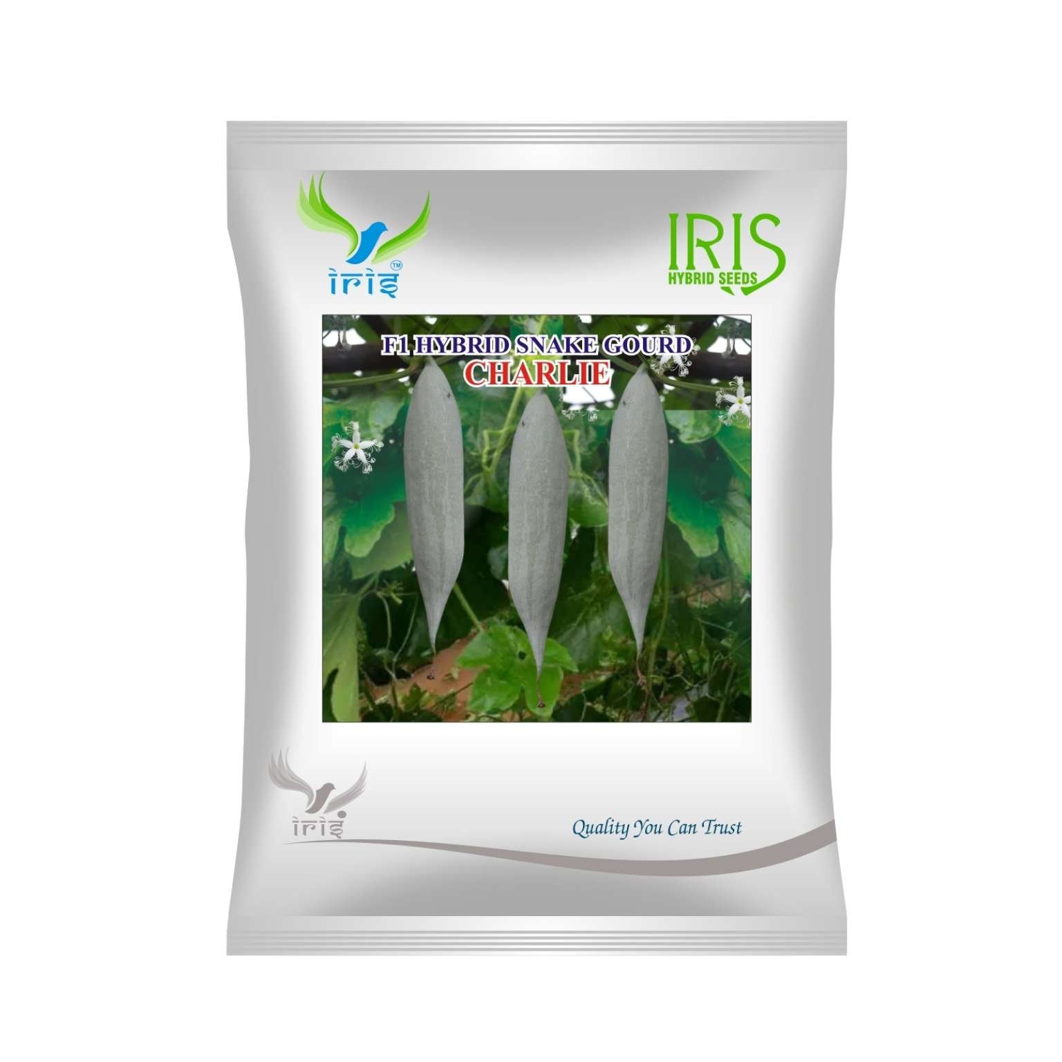 Iris Hybrid Snake Gourd Charlie Vegetable Seeds