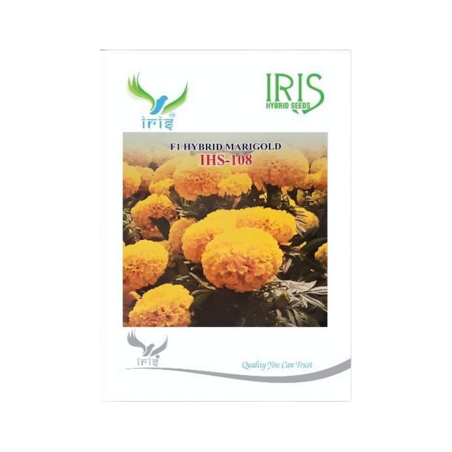Iris Hybrid Marigold Yellow IHS 108 Flower Seeds