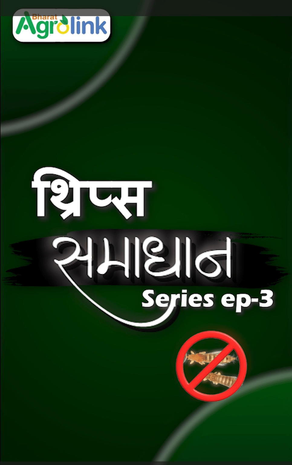 थ्रिप्स को खत्म करने के 3 आसान और असरदार उपाय – किसानों के लिए ज़रूरी कीट नियंत्रण गाइड