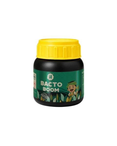 Bacto Boom