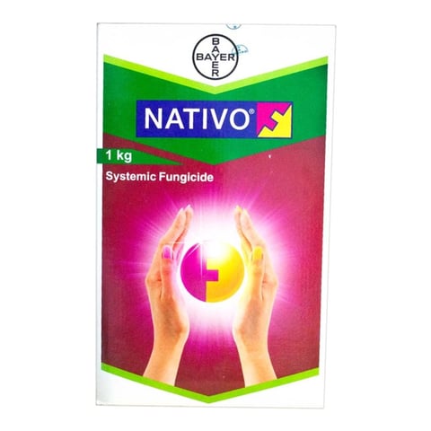 Bayer Nativo Tebuconazole 50% + Trifloxystrobin 25% WG